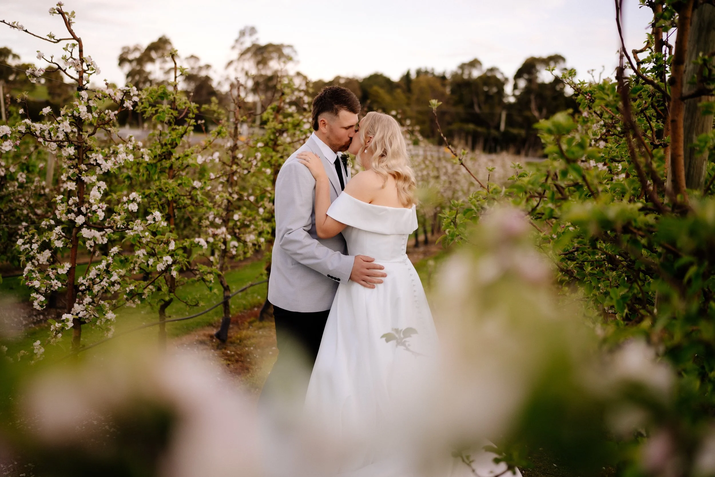 A couple in wedding attire sharing a kiss and embrace in a blooming orchard with trees filled with flowers.