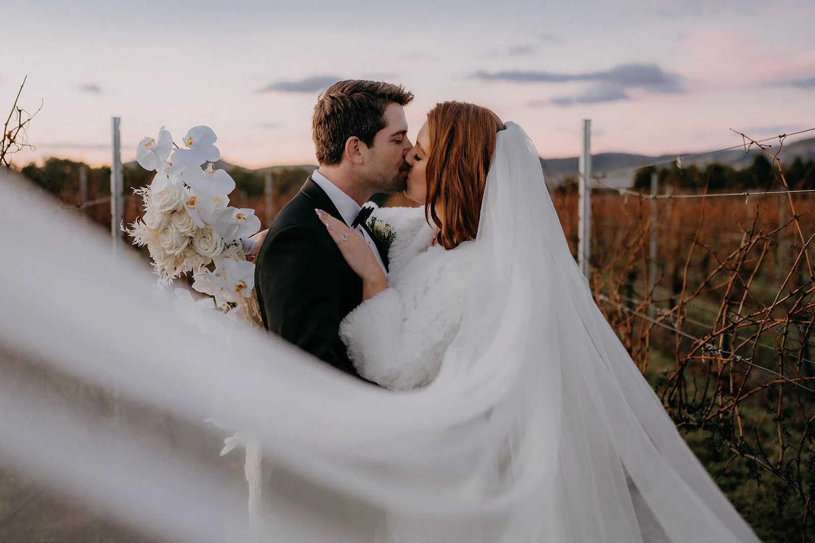 A bride and groom kissing in a vineyard during sunset, with the bride in a white wedding gown and veil, holding a bouquet of white flowers.