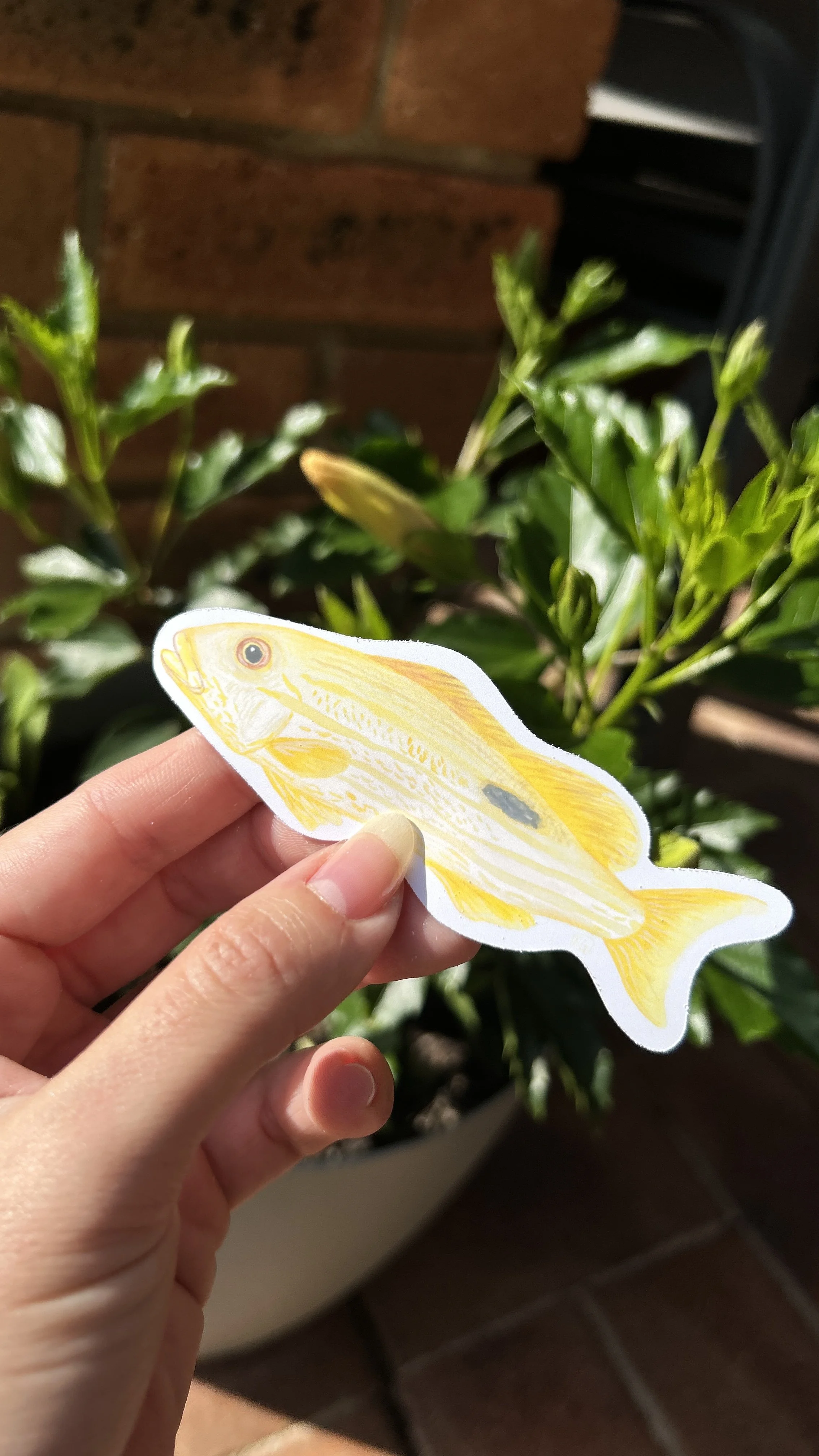 Black-Spot Sea Perch Vinyl sticker