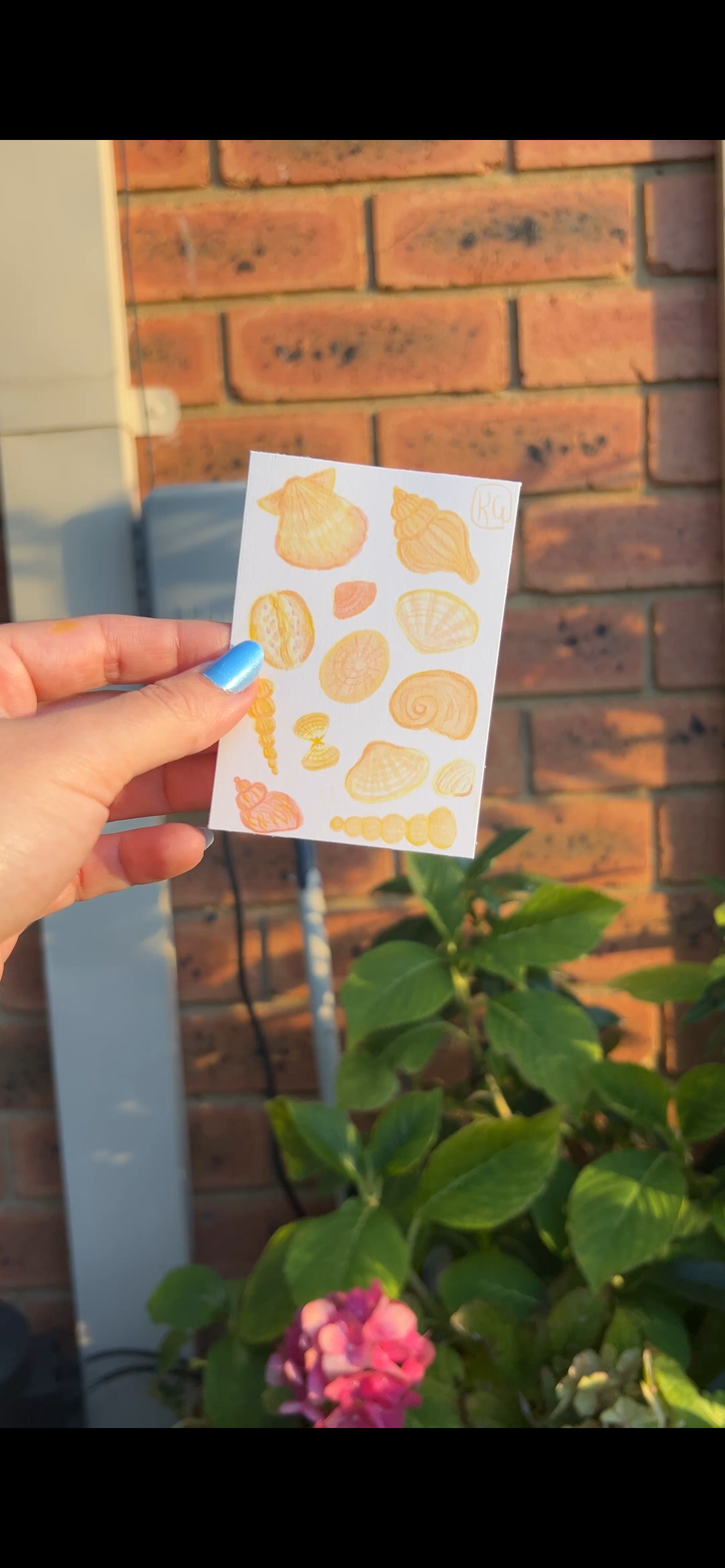 MINI ACEO art - Shell & Tide