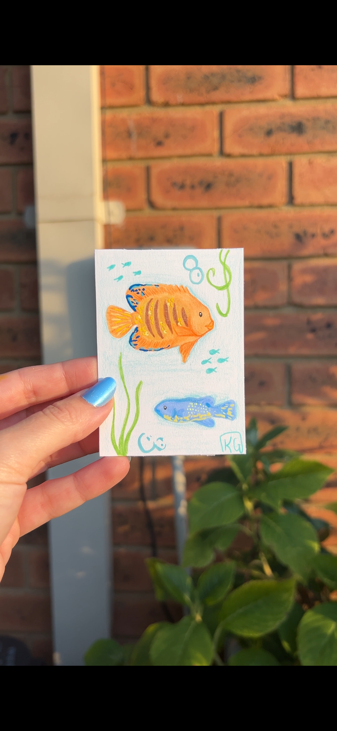 MINI ACEO art -  Wishes &  Fishes