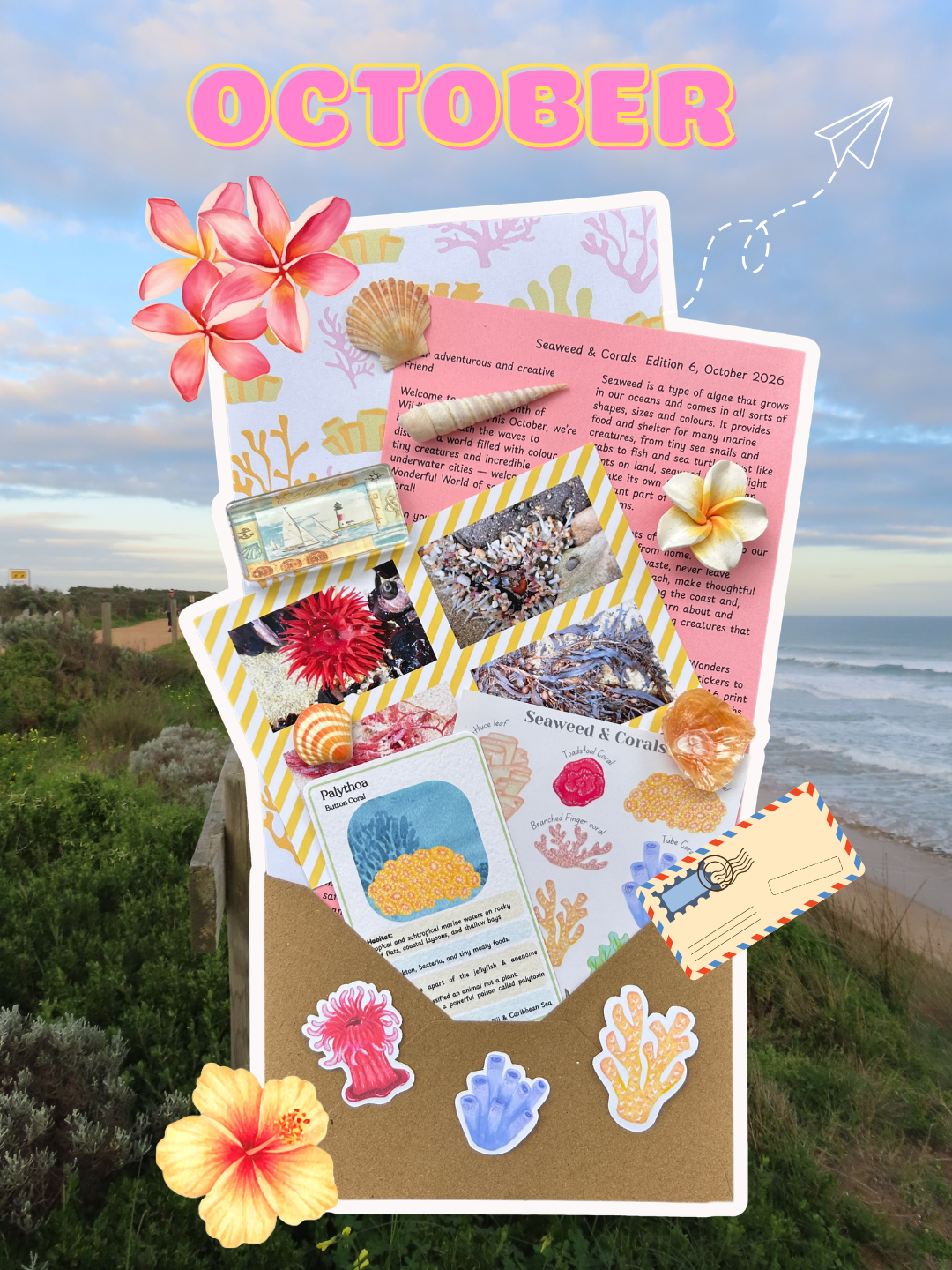 Wildlife Wonders Creative Club, Volume 6