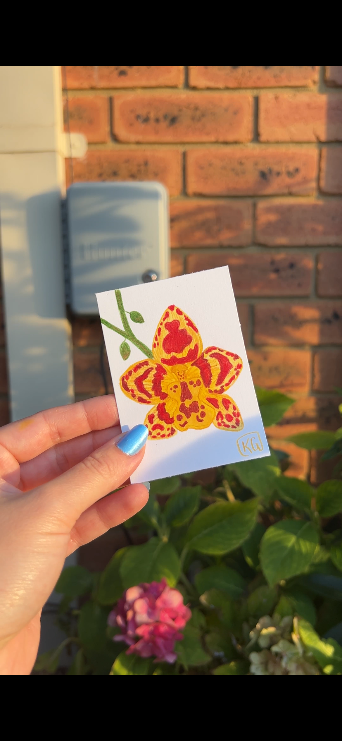 MINI ACEO art -  Tropical Orchid