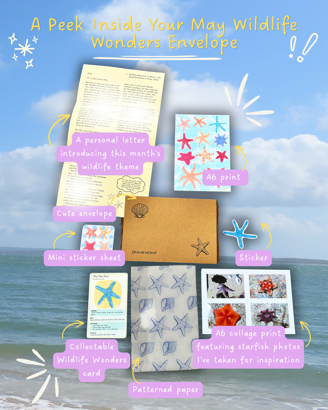 Wildlife Wonders Creative Club Volume 1