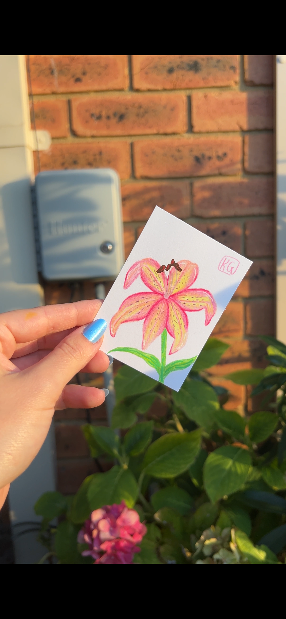 MINI ACEO art -  Lily
