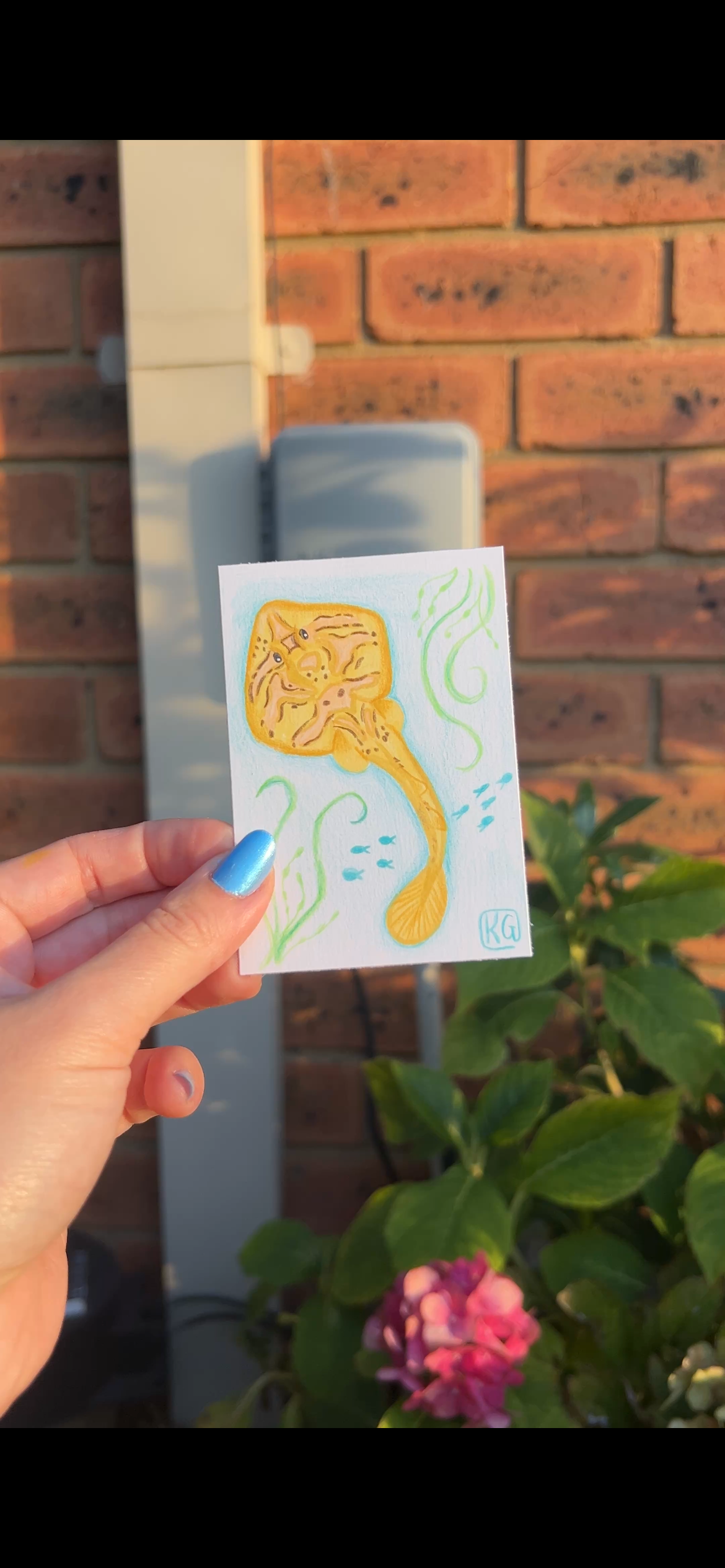 MINI ACEO art -  Sea Of Ray