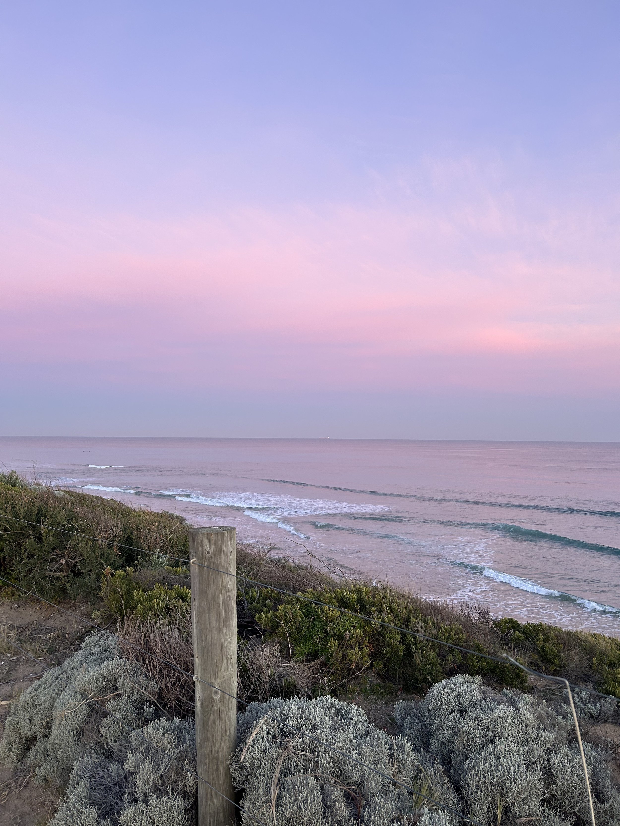 A scenic view of a beach at sunset with pink and blue sky, calm waves, and coastal vegetation including bushes and grasses, with a wooden fence in the foreground.