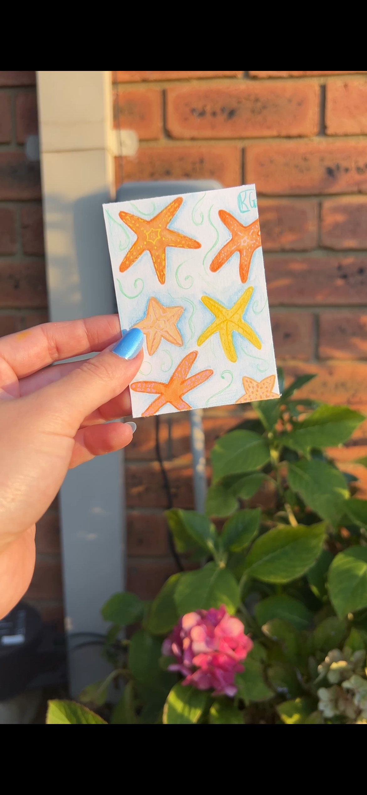 MINI ACEO art - Starfish Stories