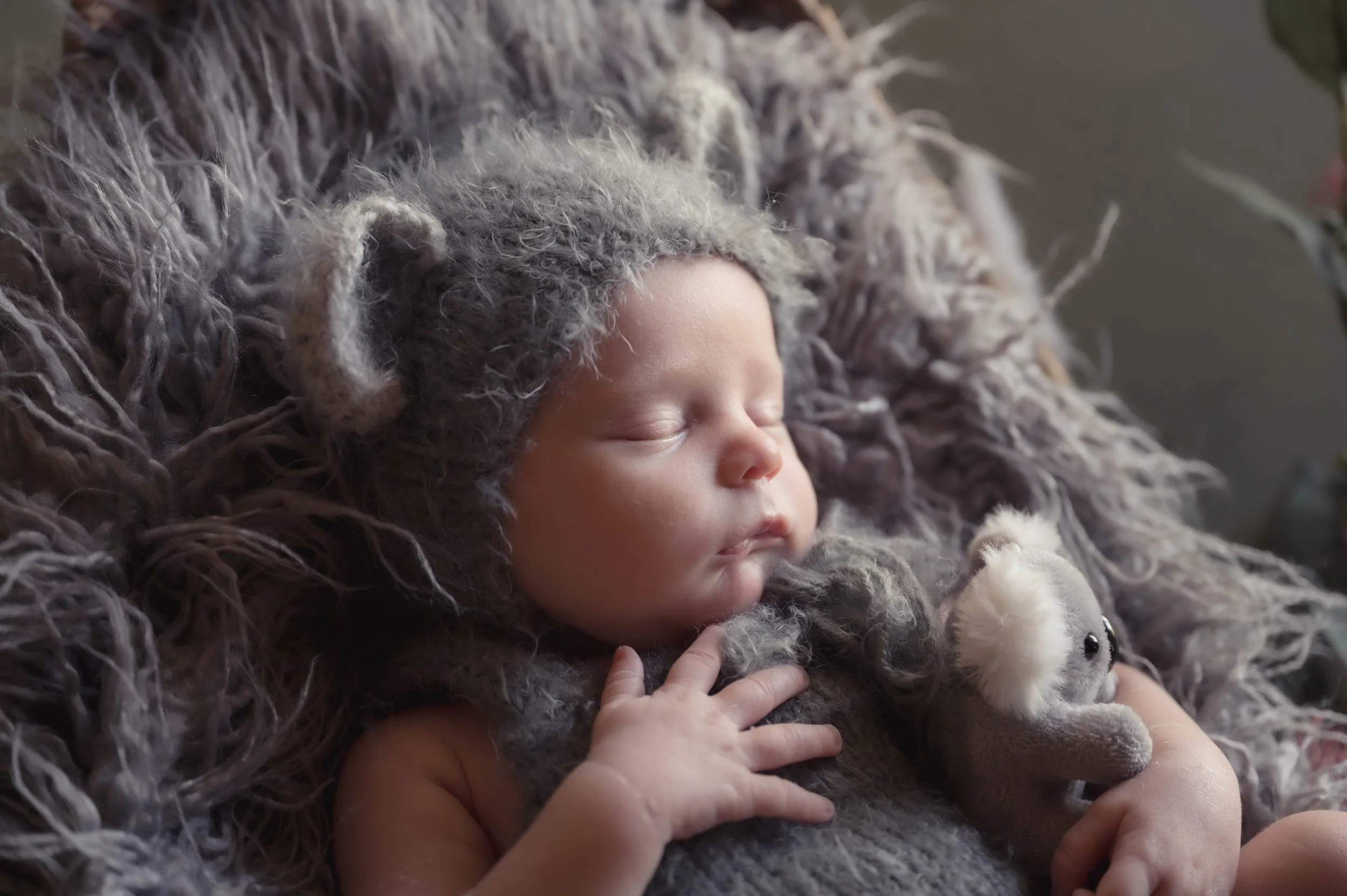 A sleeping baby dressed in a furry gray hat and blanket, holding a small gray plush toy.