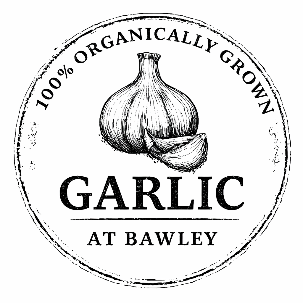 Garlic At Bawley
