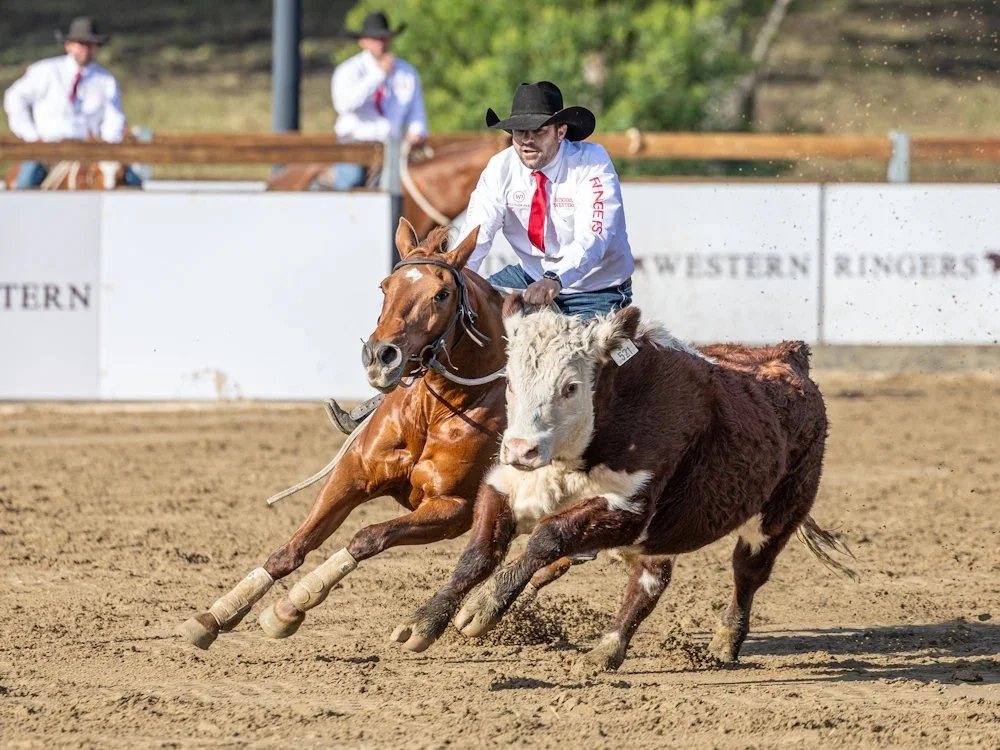 gold buckle campdraft championships 2026 (BUMP)