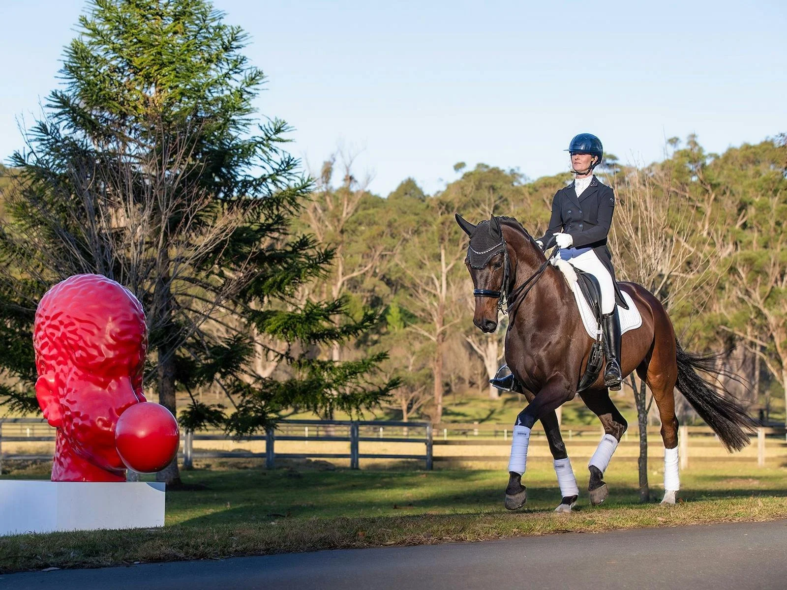 Dressage at willinga park