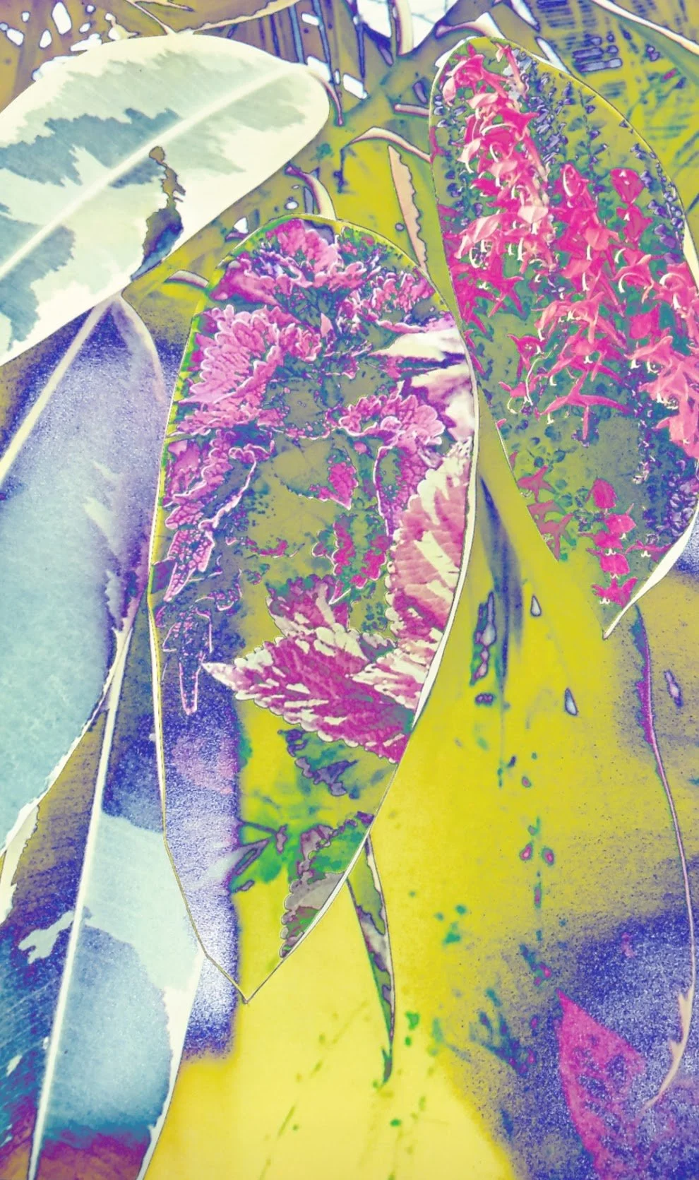 Copy of Collage1.jpg