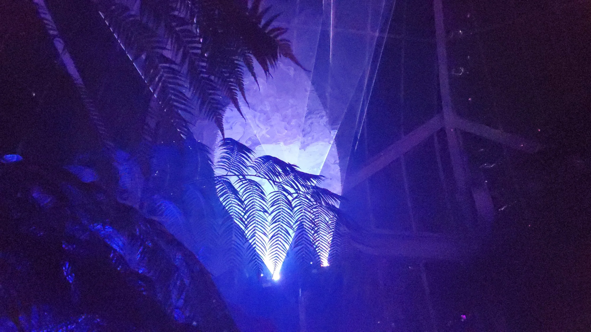 20191108_214945.jpg