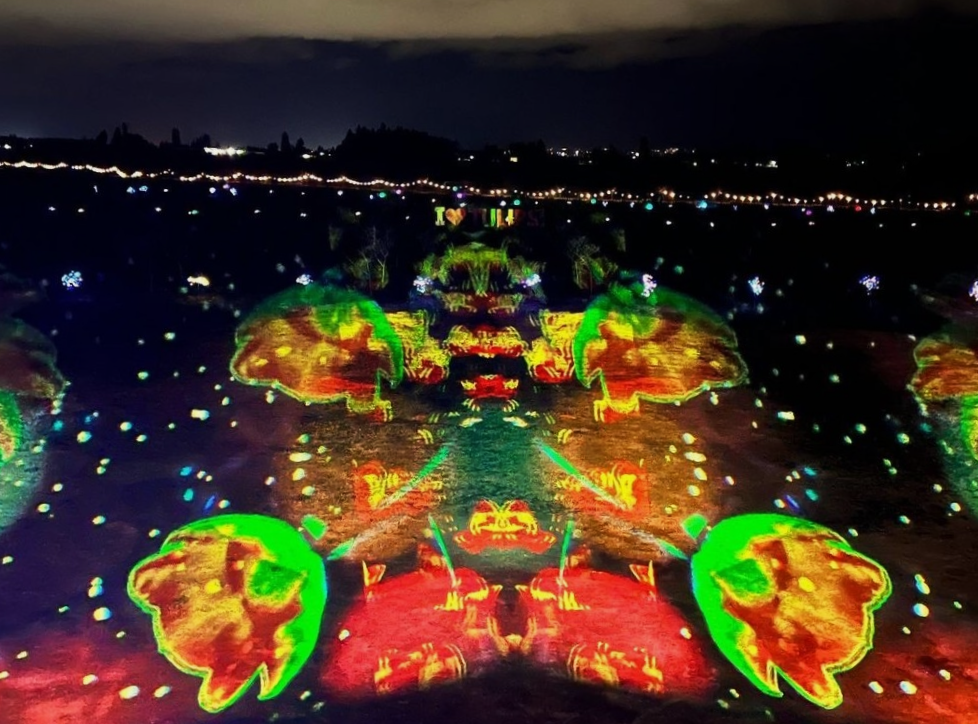 Night Bloom | Agrotourism Immersive Projections