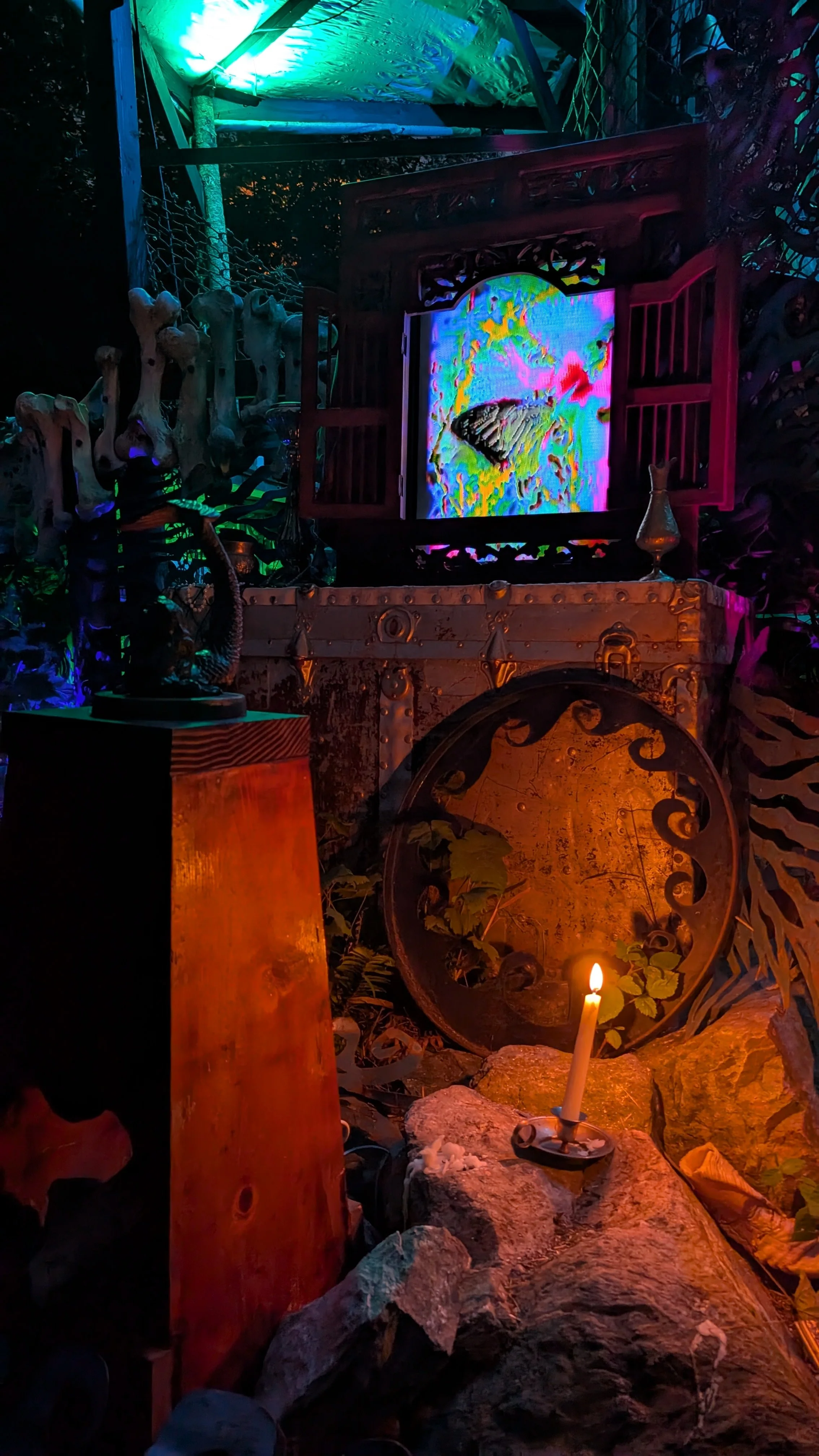 mermaidvisionscrt.jpg