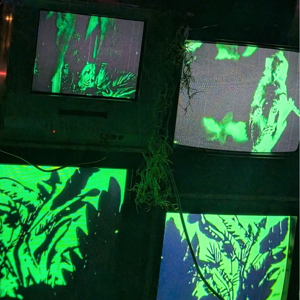 CRT Zoo | Interactive Installation