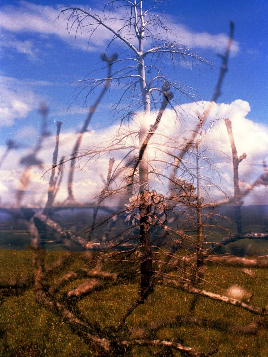 RECEPTION: "Everyday Oases", with photographer Melanie Gonzalez