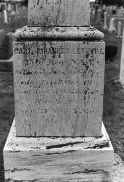 TOUR: “New Paltz Rural Cemetery” with Susan Stessin-Cohn and Ashley Biagini