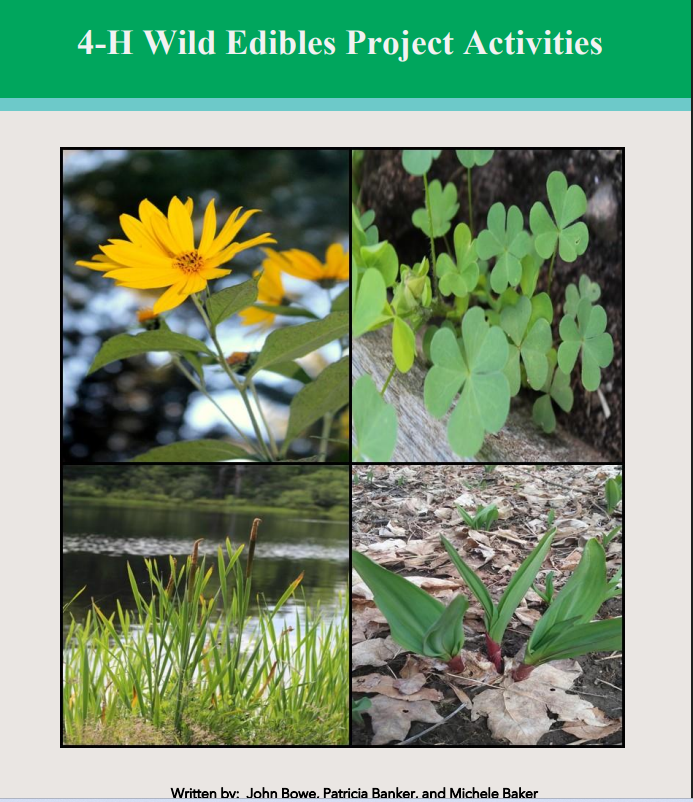 WORKSHOP: World of Wild Edible Walk