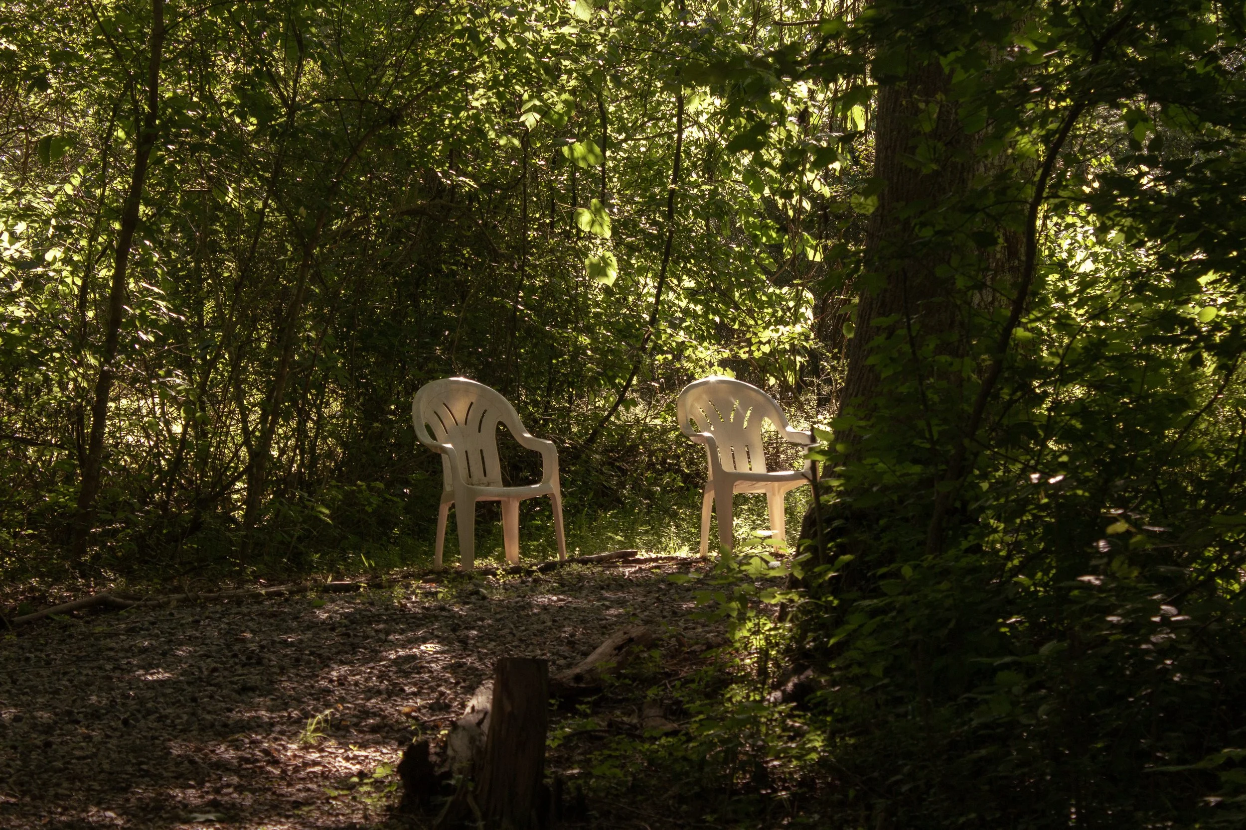 Two white plastic chairs in a wooded forest area with sunlight filtering through the trees.