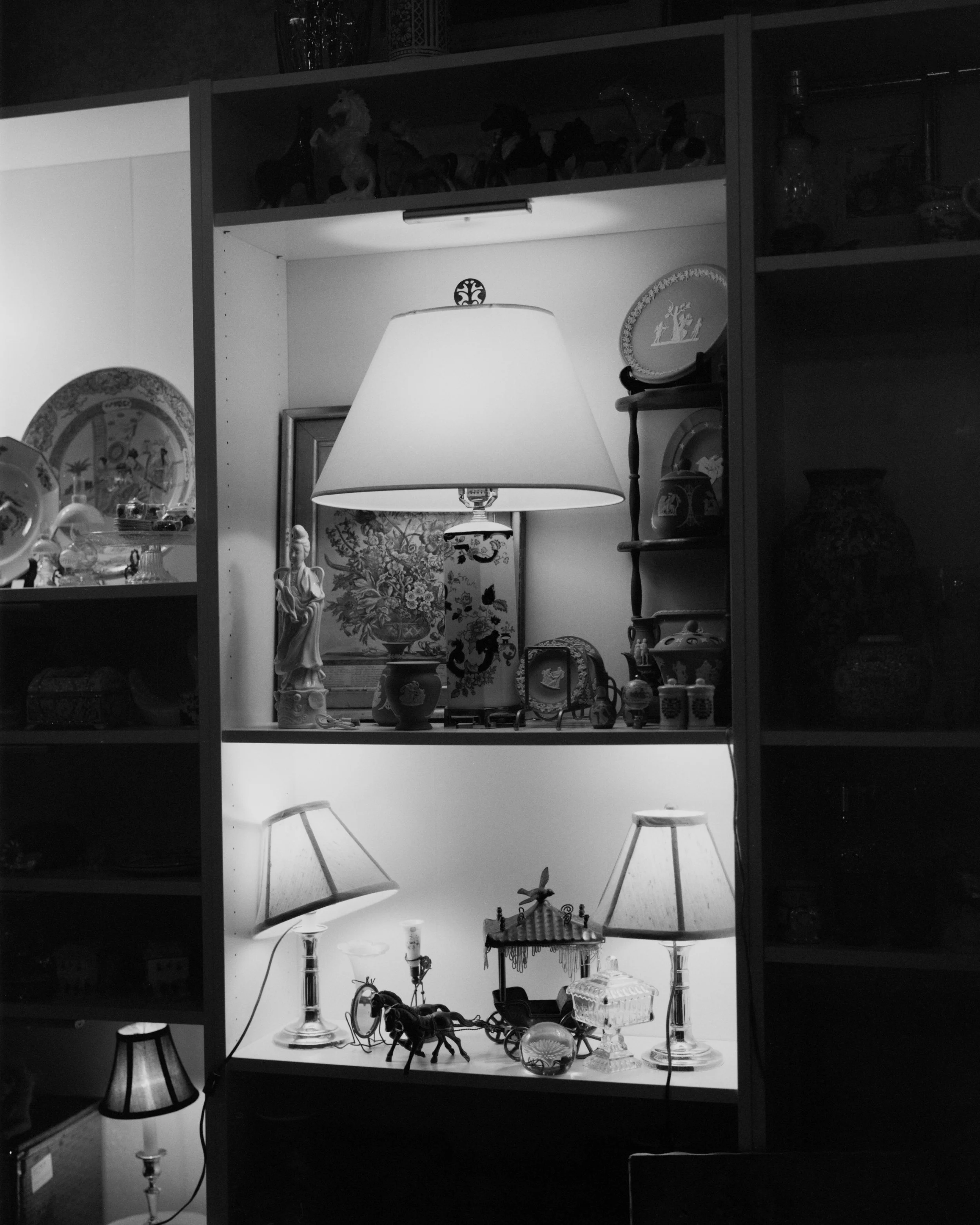 Display of various decorative items and lamps on shelves, including figurines, vases, plates, and a miniature carriage, illuminated by multiple lamps against a dark background.