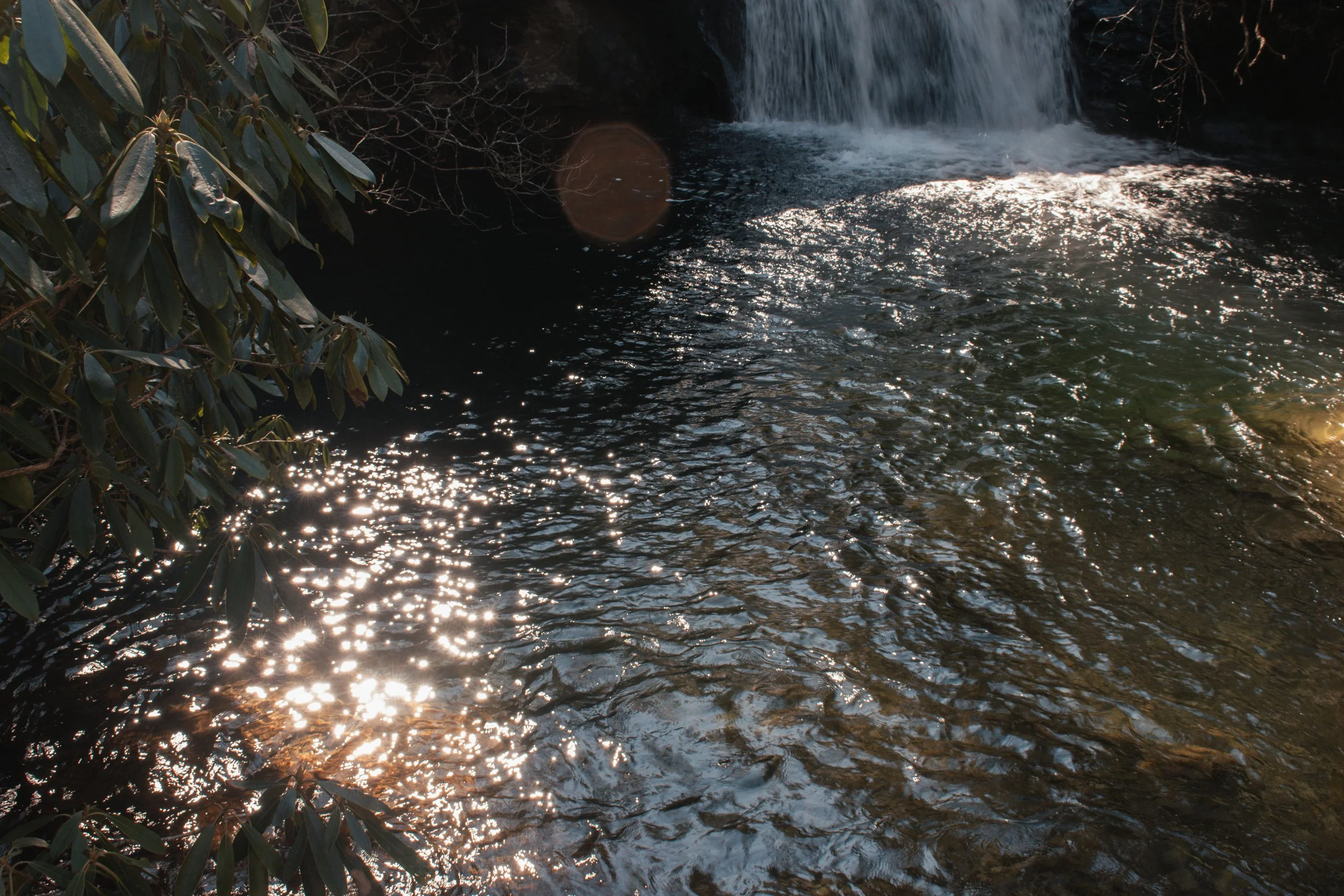 Sunlit water flowing in a river with a small waterfall in the background, surrounded by green foliage.