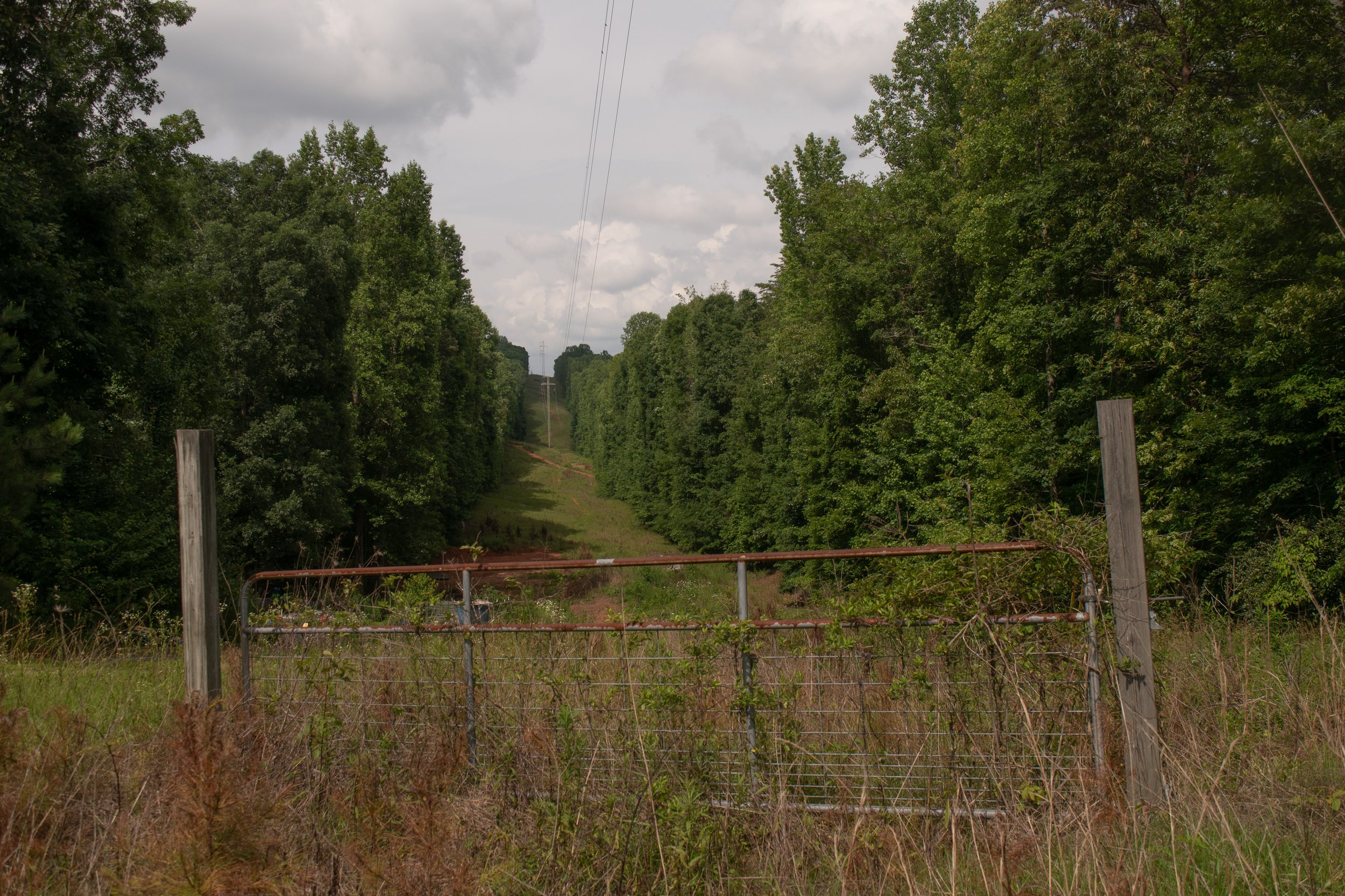 A rural scene with a dirt road running through a densely wooded area, enclosed by a metal and wire gate with weathered wooden posts in the foreground, and power lines overhead under a cloudy sky.