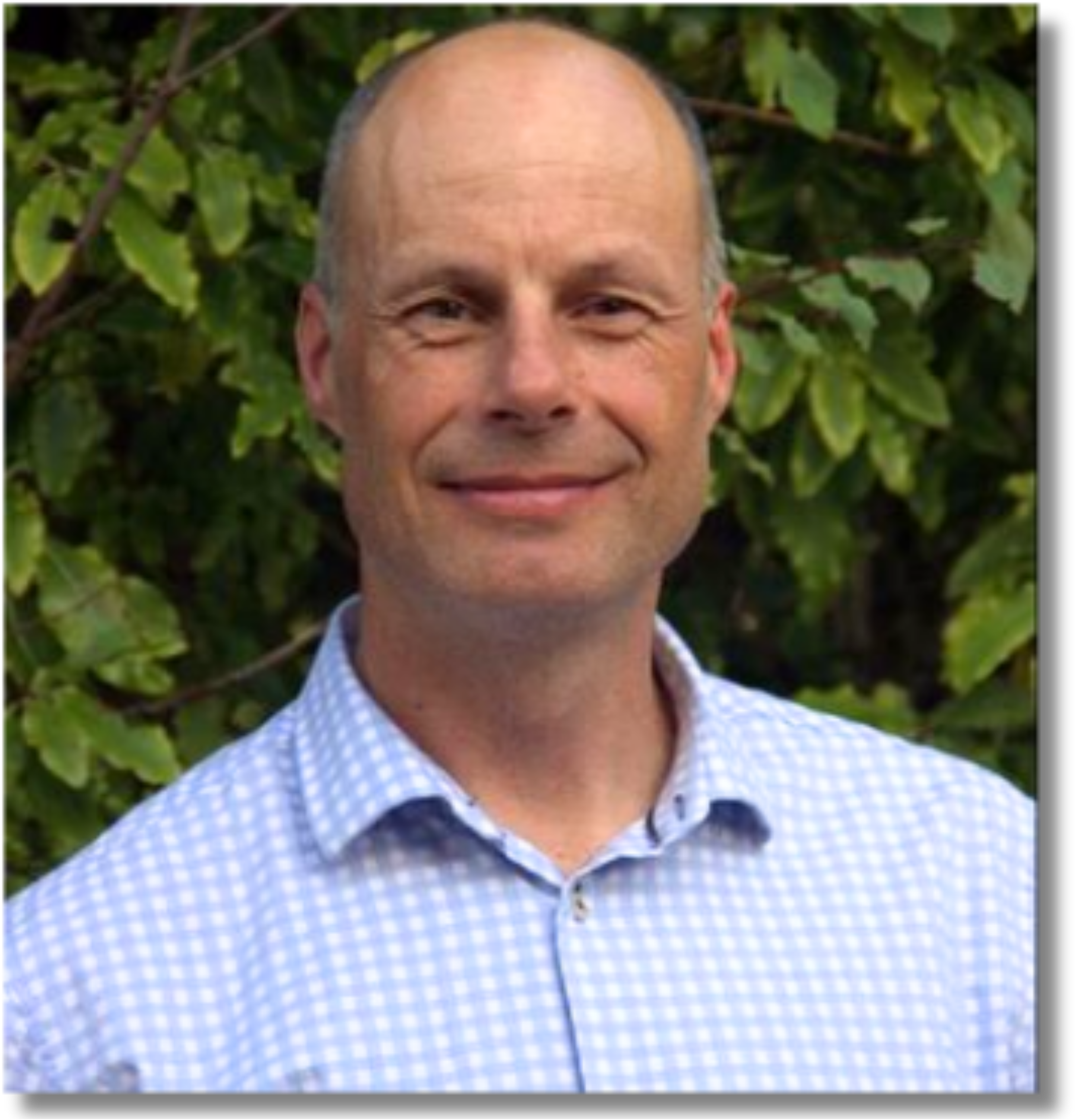 Wayne Frecklington Psychotherapist Nelson Tasman