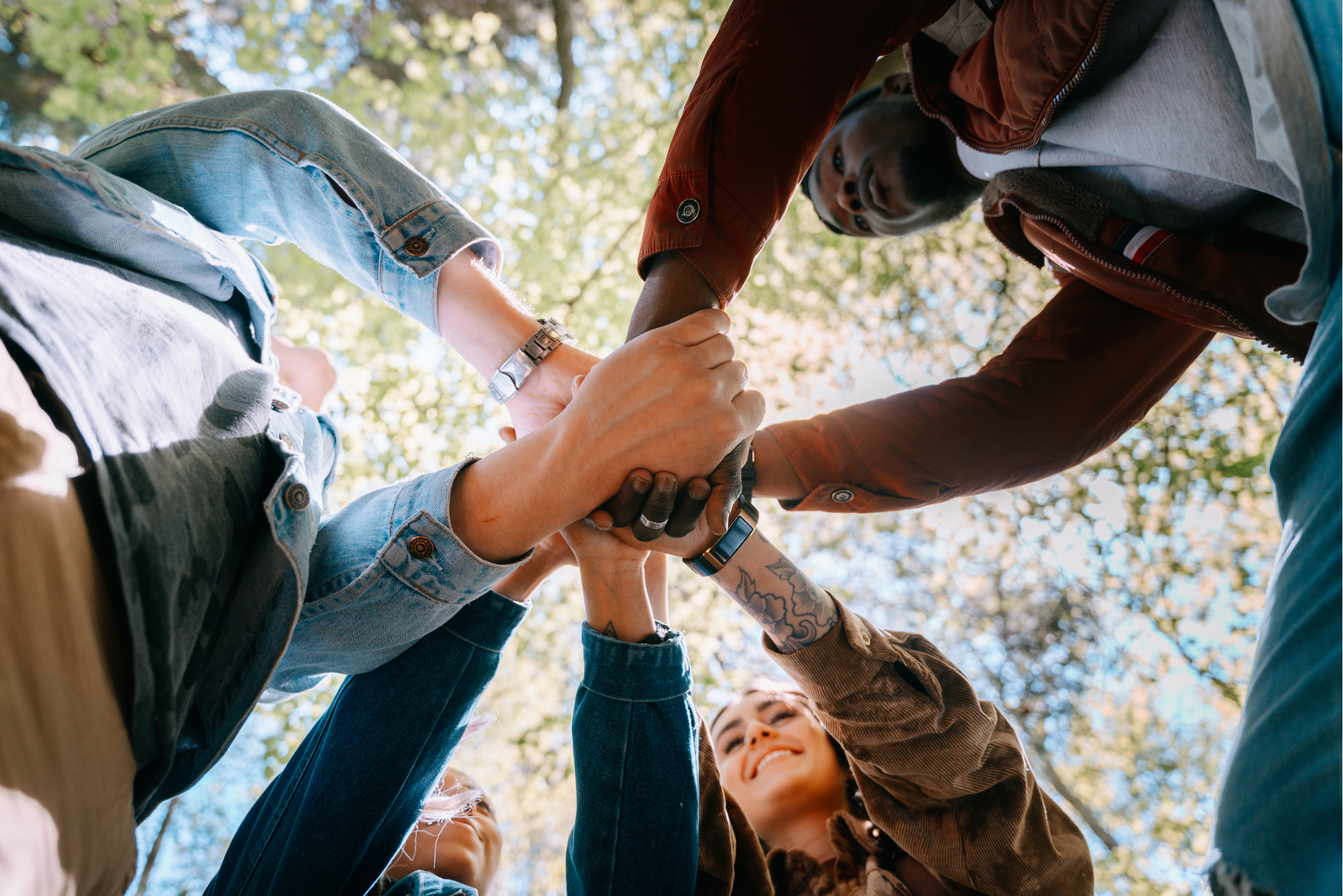 Wayne Frecklington Psychotherapist Nelson Tasman