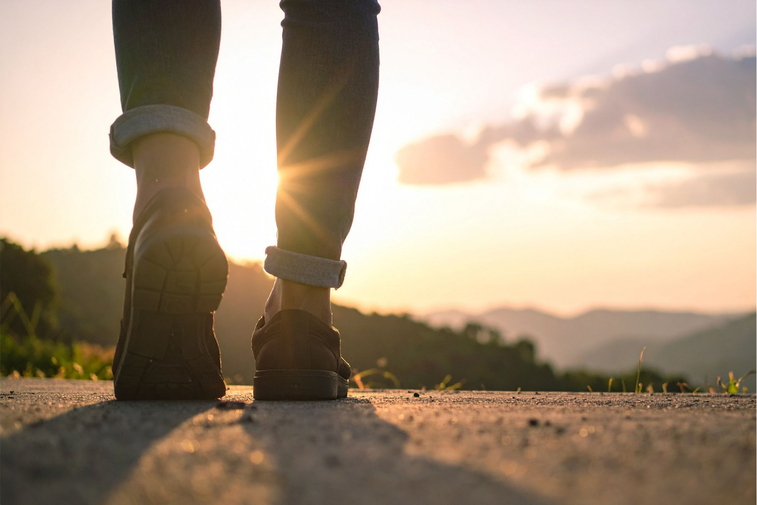 Wayne Frecklington Psychotherapist Nelson Tasman