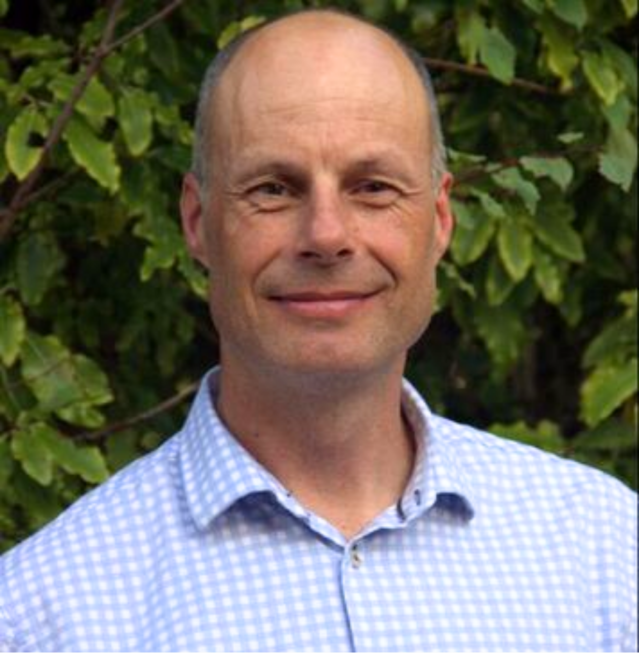 Wayne Frecklington Psychotherapist Nelson Tasman