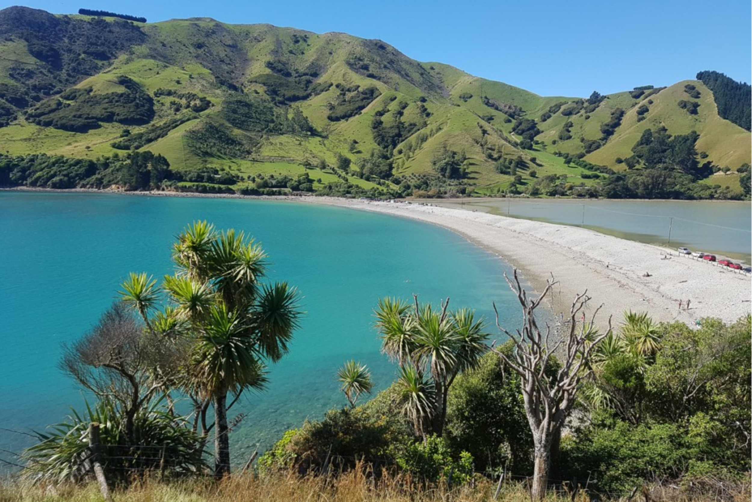 Wayne Frecklington Psychotherapist Nelson Tasman