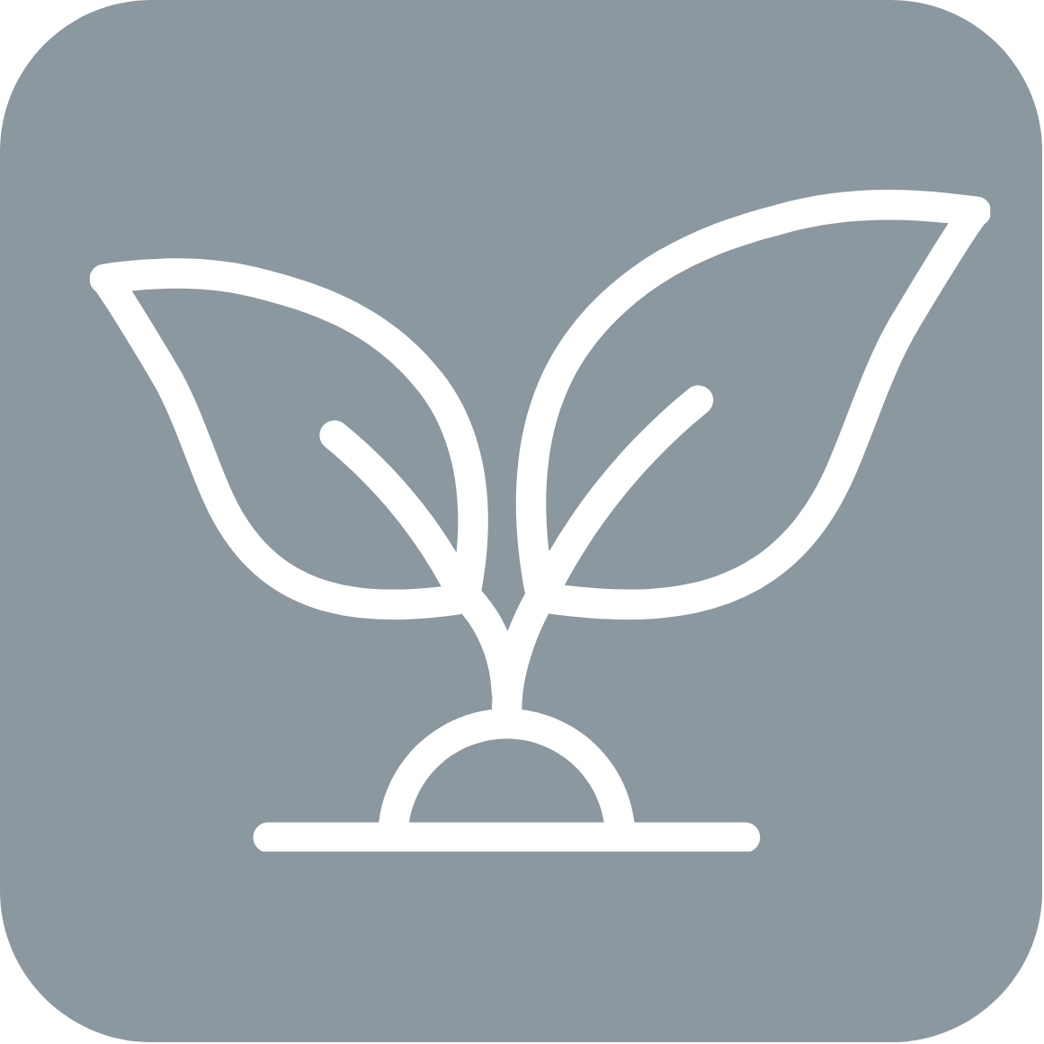 Wayne Frecklington Psychotherapist Nelson Tasman