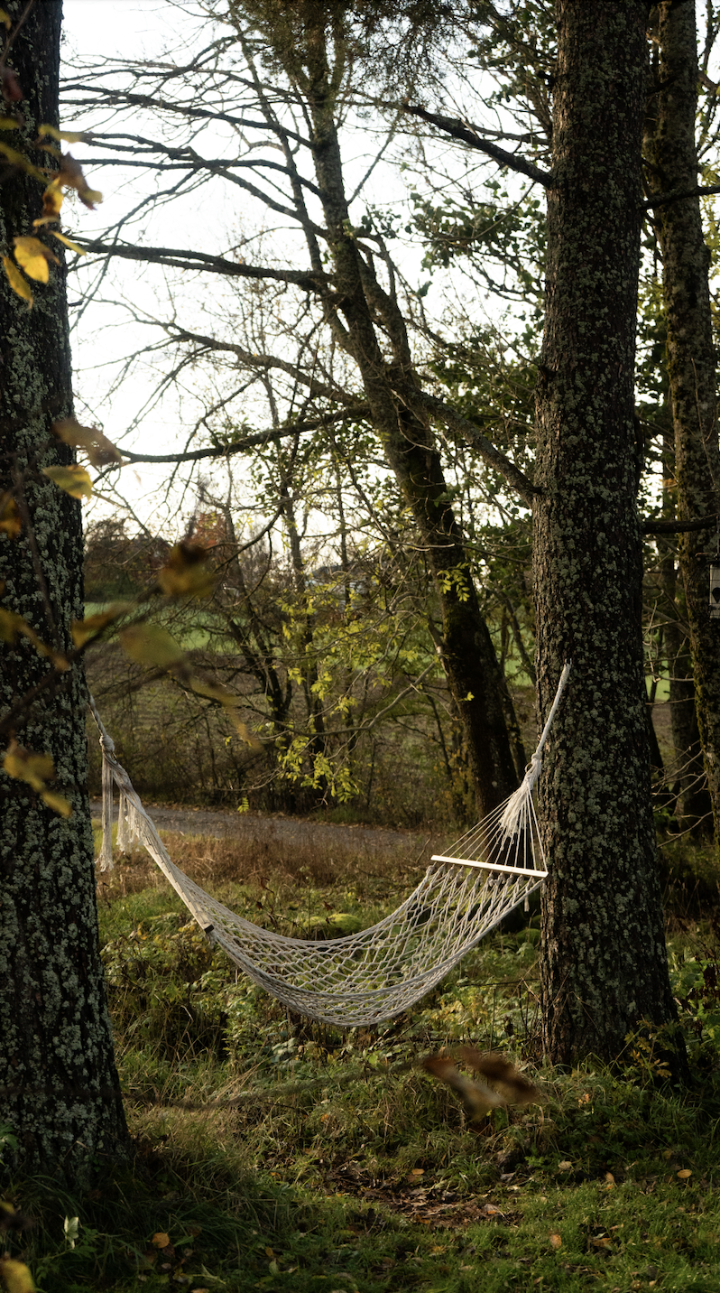 Skärmavbild 2025-03-22 kl. 12.47.08.png