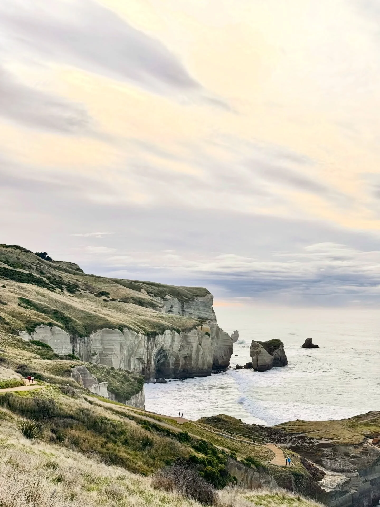 we went to #dunedin and spent some time by the #ocean !