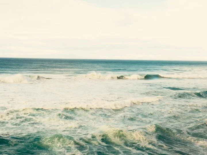 moving postcards from #dunedin