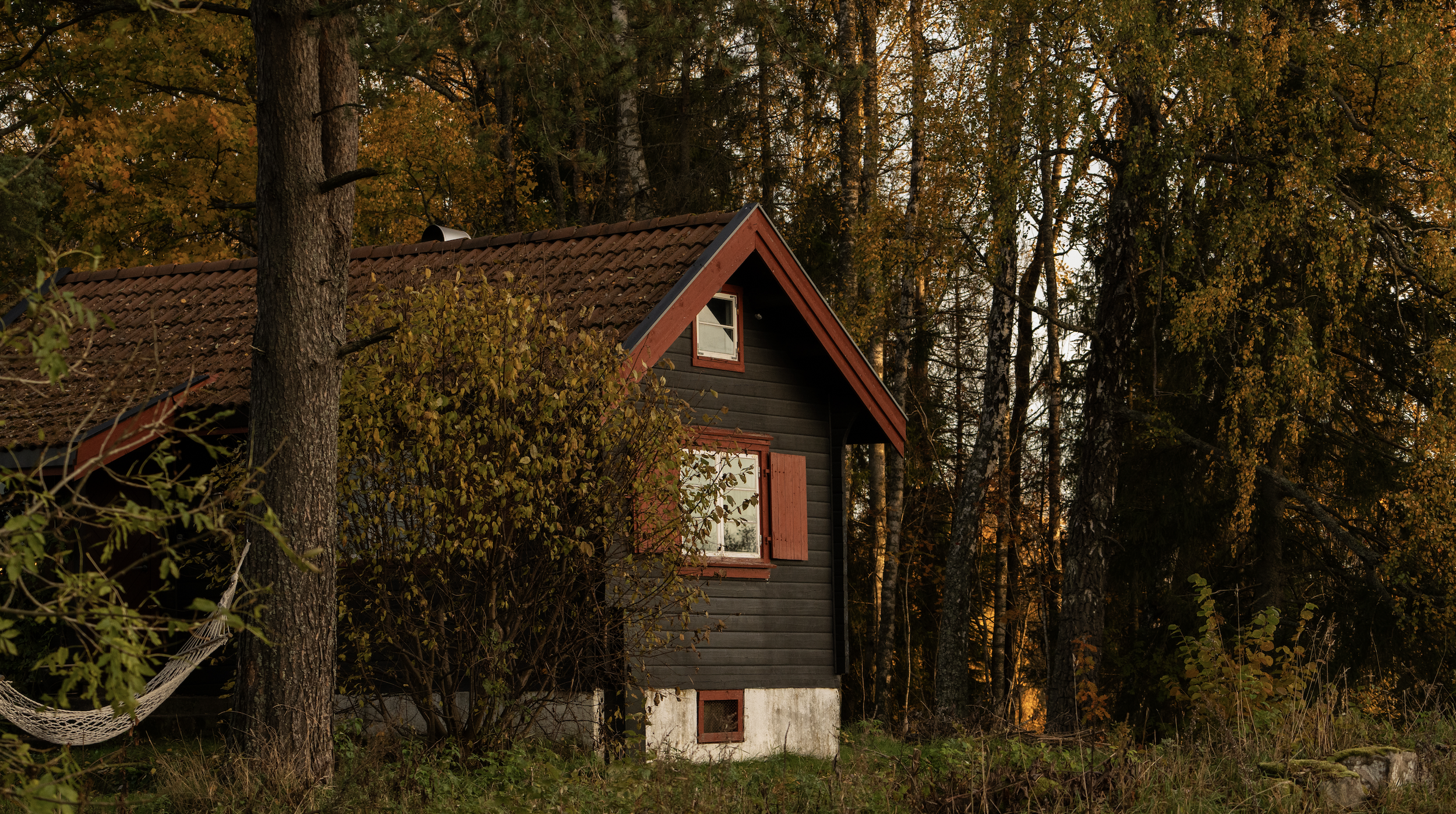 Skärmavbild 2025-03-22 kl. 12.46.26.png