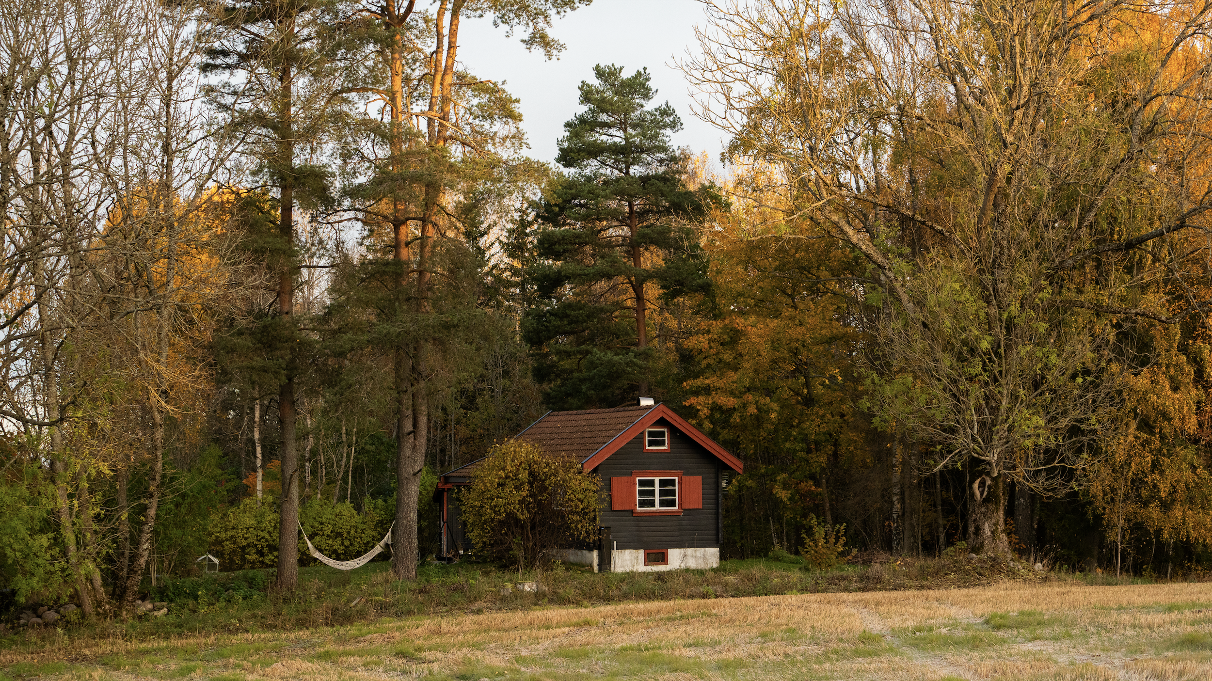 Skärmavbild 2025-03-22 kl. 12.46.00.png