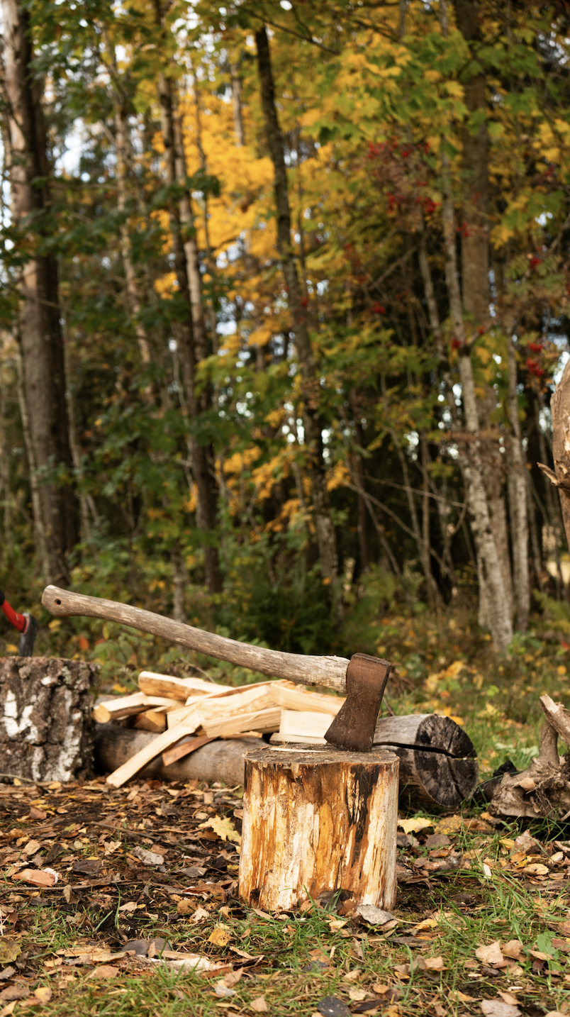 Skärmavbild 2025-03-22 kl. 12.45.47.png