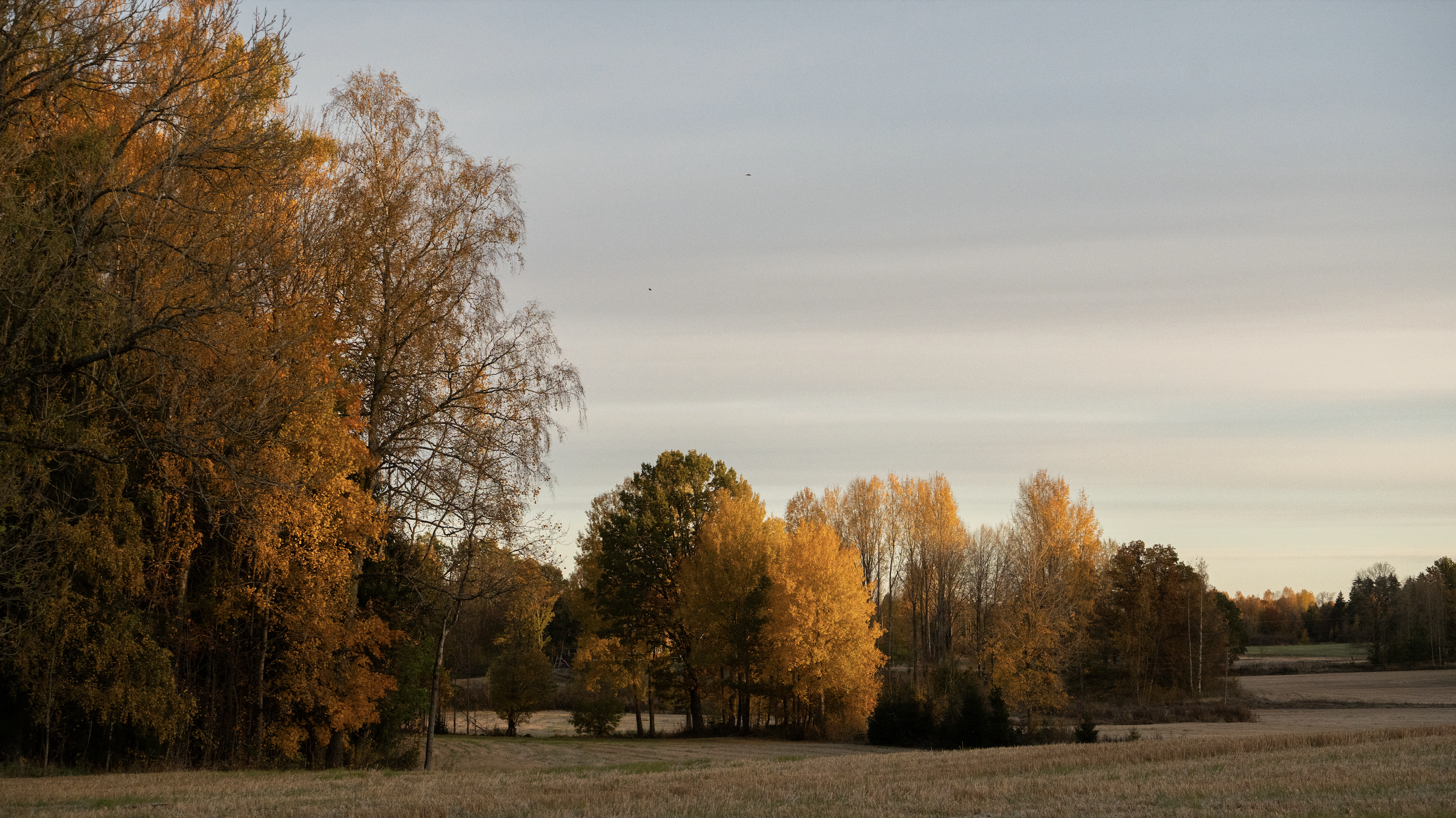 Skärmavbild 2025-03-22 kl. 12.46.09.png