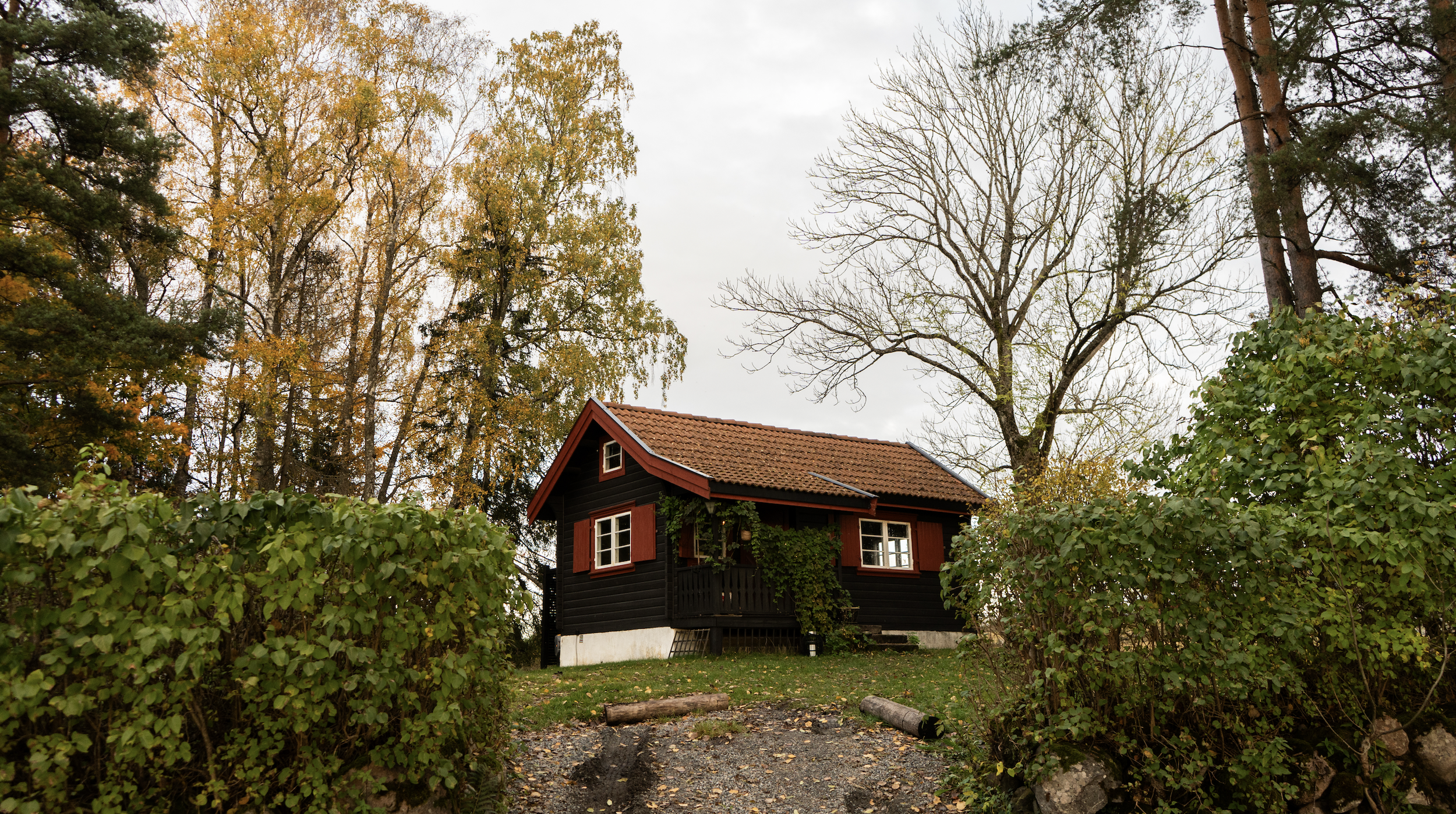 Skärmavbild 2025-03-22 kl. 12.44.49.png