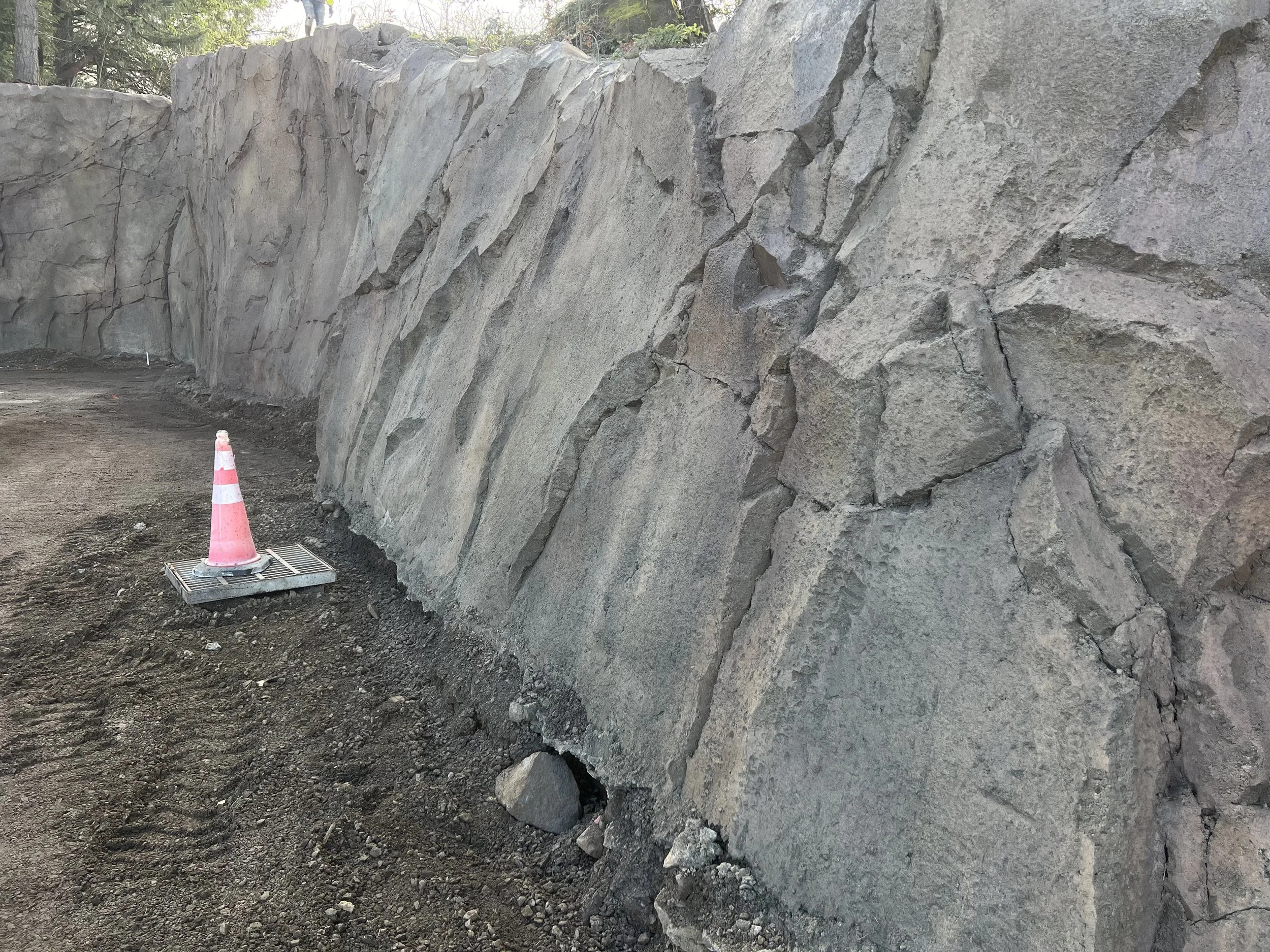 Rock Carve sculpted shotcrete