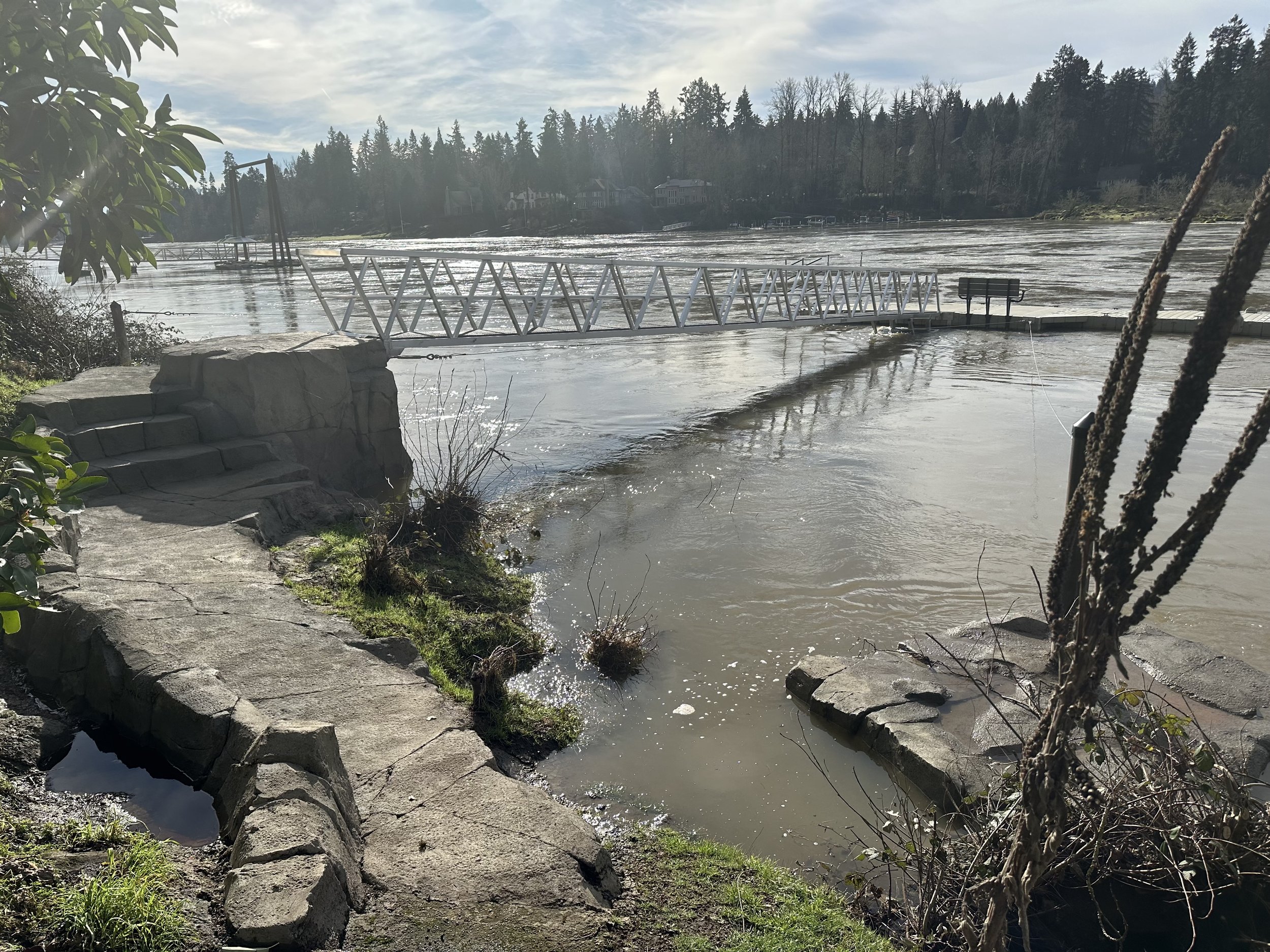 Rock Carve sculpted shotcrete dock abutment willamette river