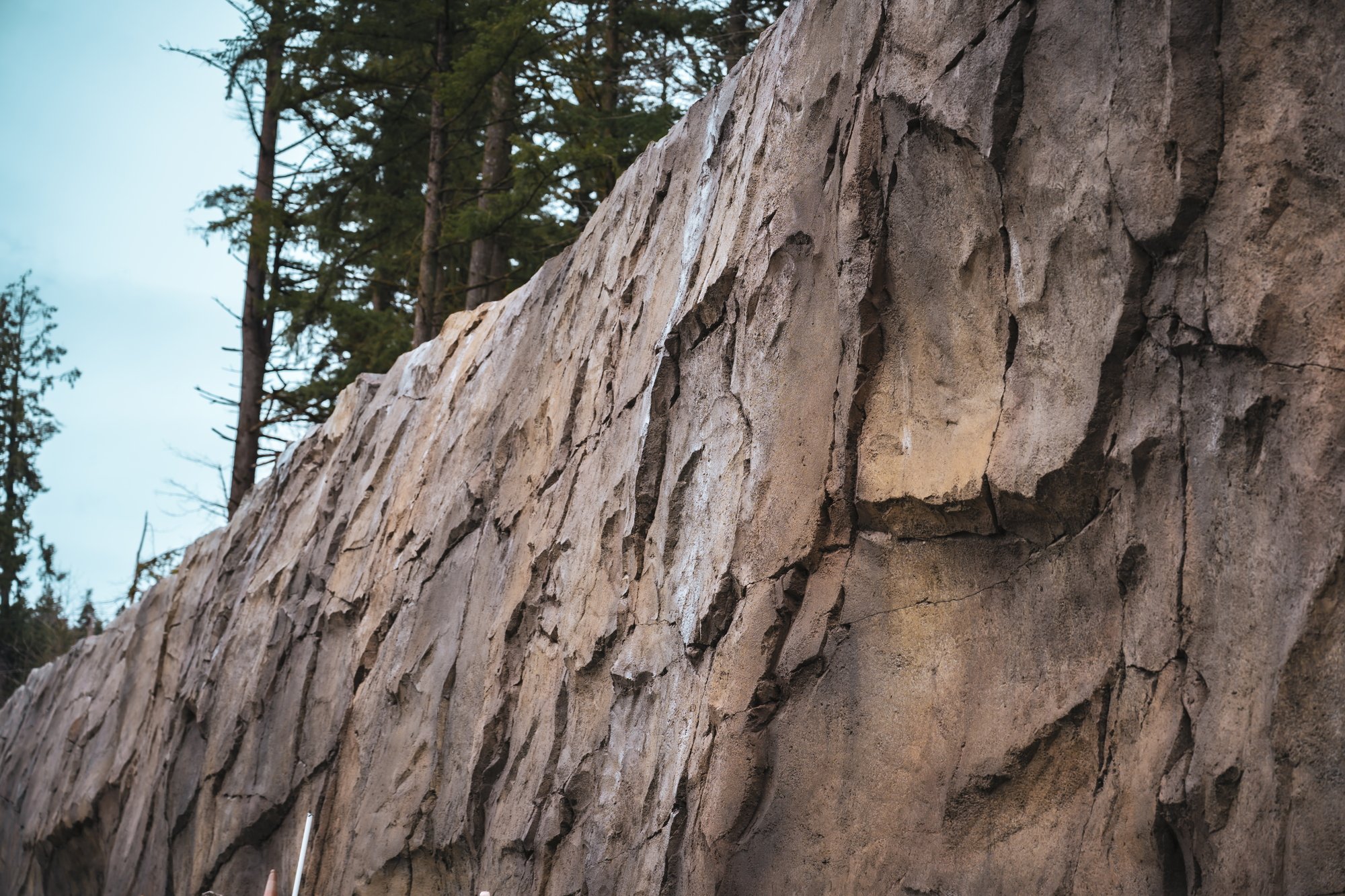 Rock Carve sculpted shotcrete