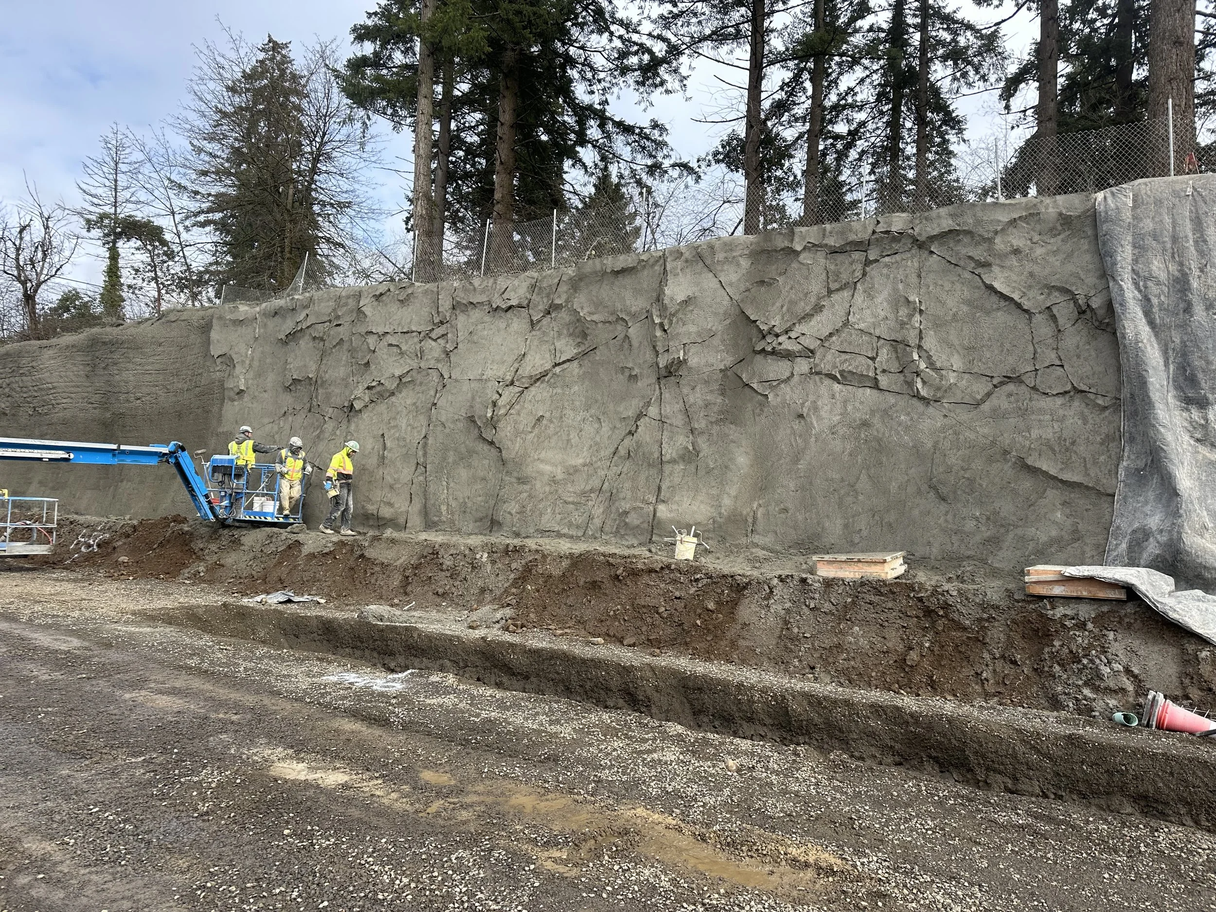 Rock Carve sculpted shotcrete
