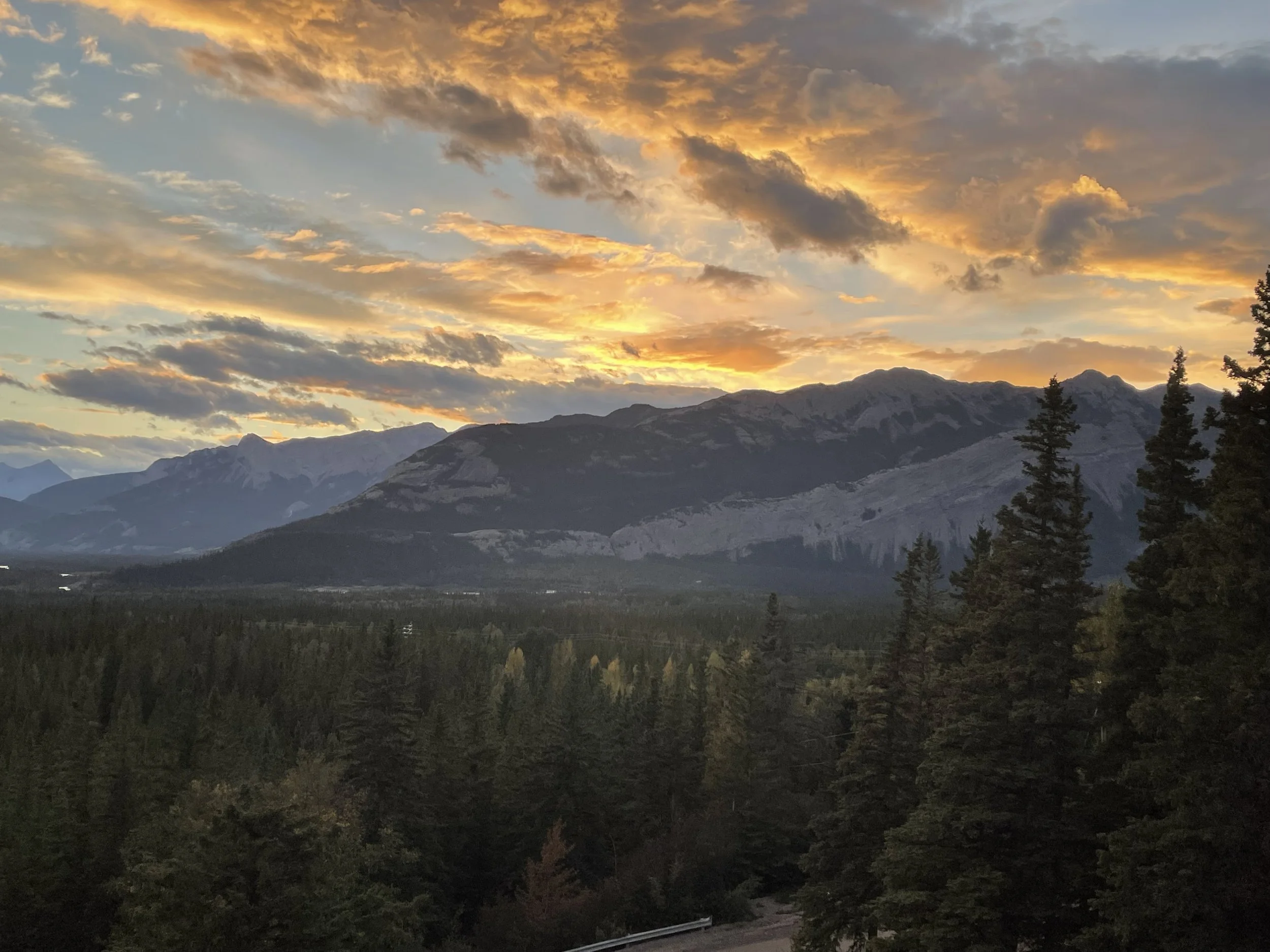 Sunset over mountainous landscape with a forest of pine trees in the foreground, Banff National Park.