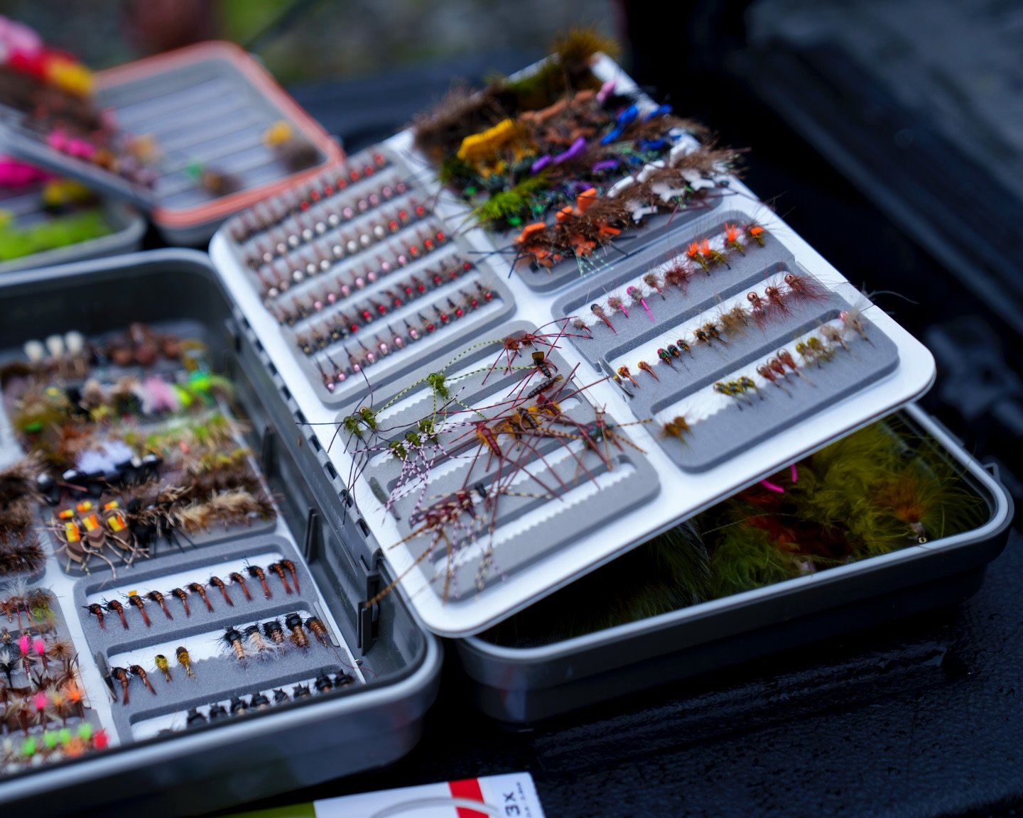 Nice way to start off the year. 

Shot down to Hawke&rsquo;s Bay to catch up with @douglastroutflies and fished a small tributary holding some beautiful rainbows. 

Always a fun day when I get to bust out the light rods.