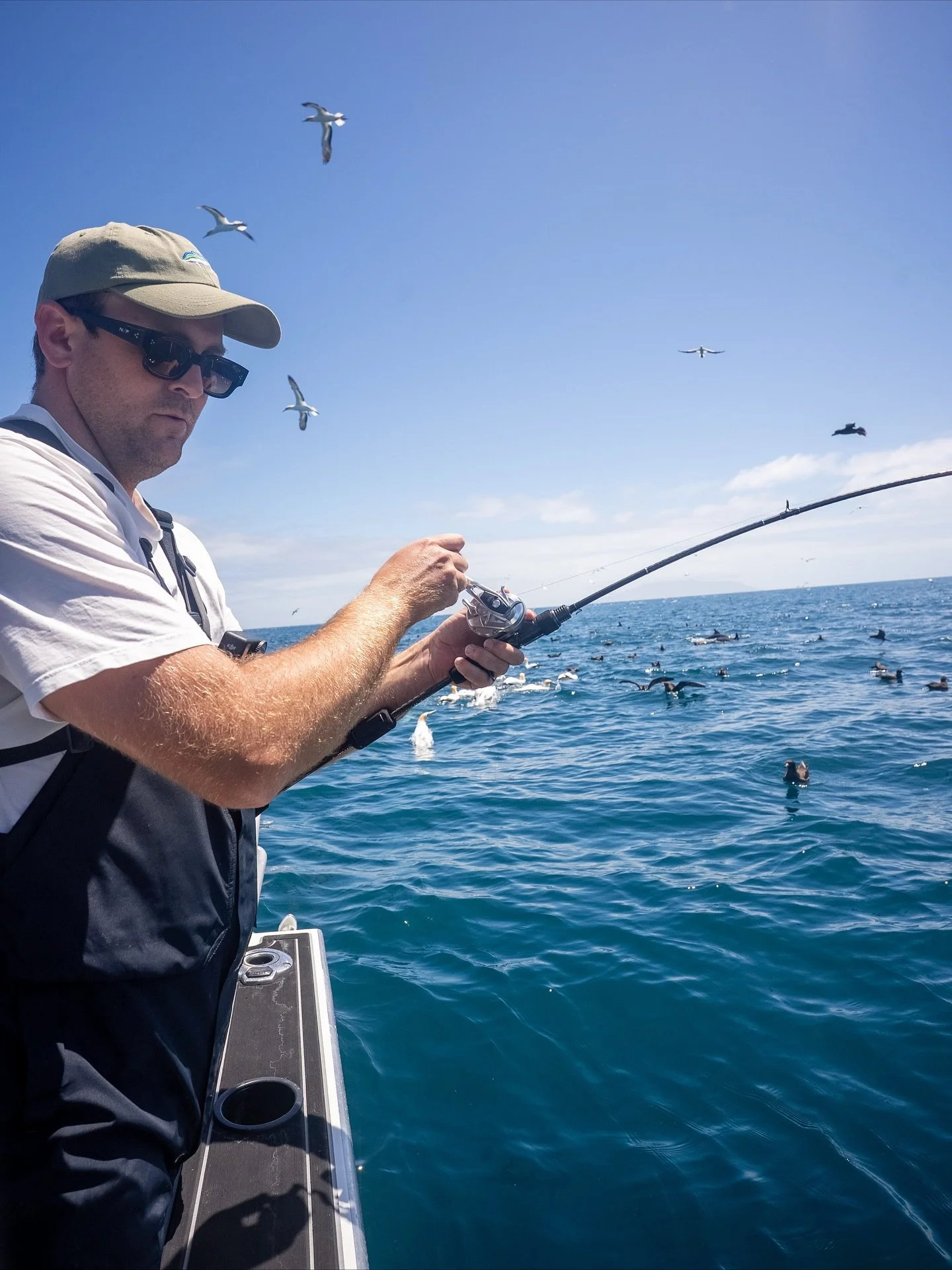 Full concentration face going on trying to land this little beauty today. 

Work up fishing was epic, thanks for comping up @reel_adventures_with_jase_ was a killer day!