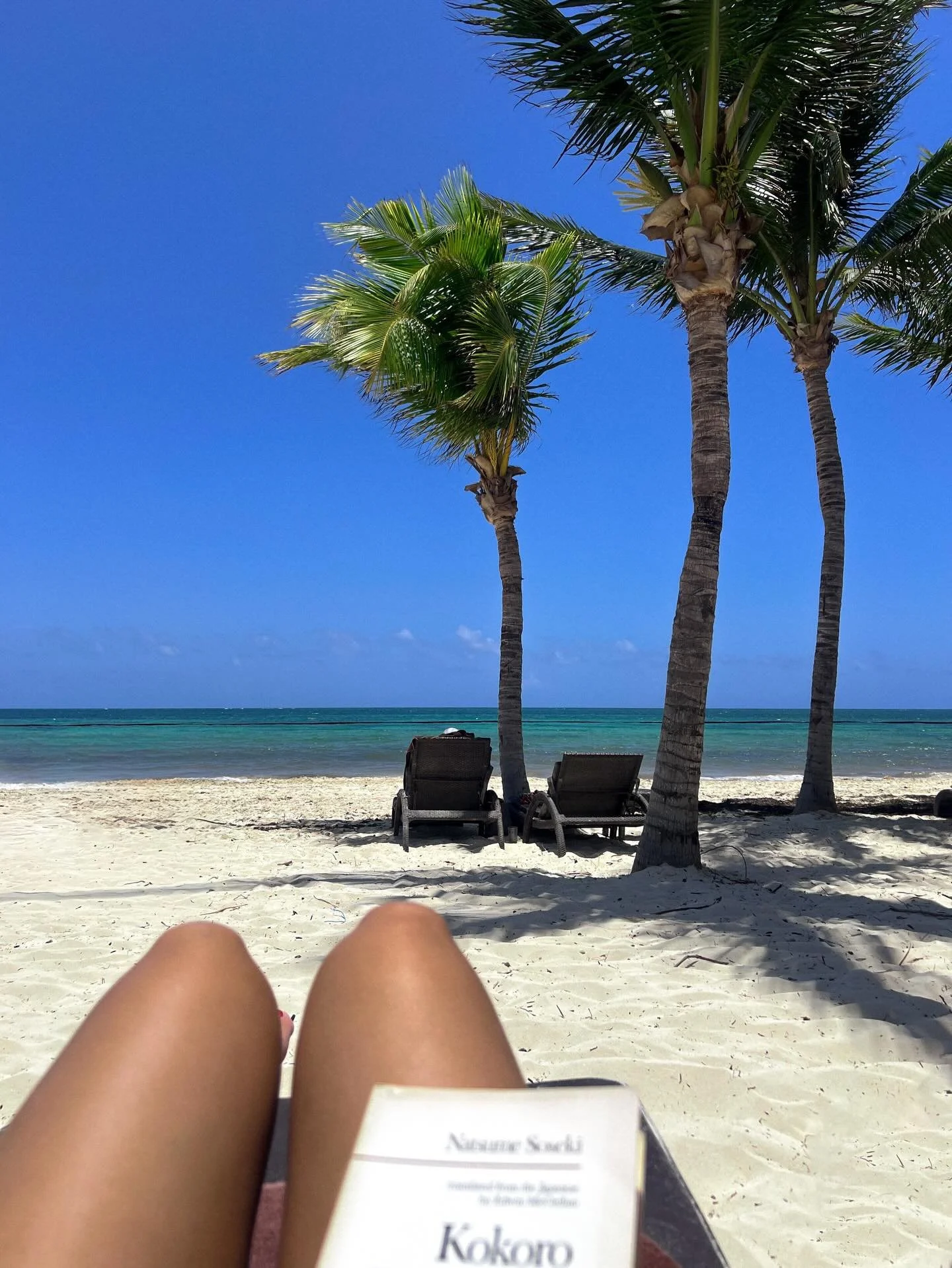 🏝️ = happy place ☀️

.
.
#traveladvisor #travelinspo #mexico #cancun